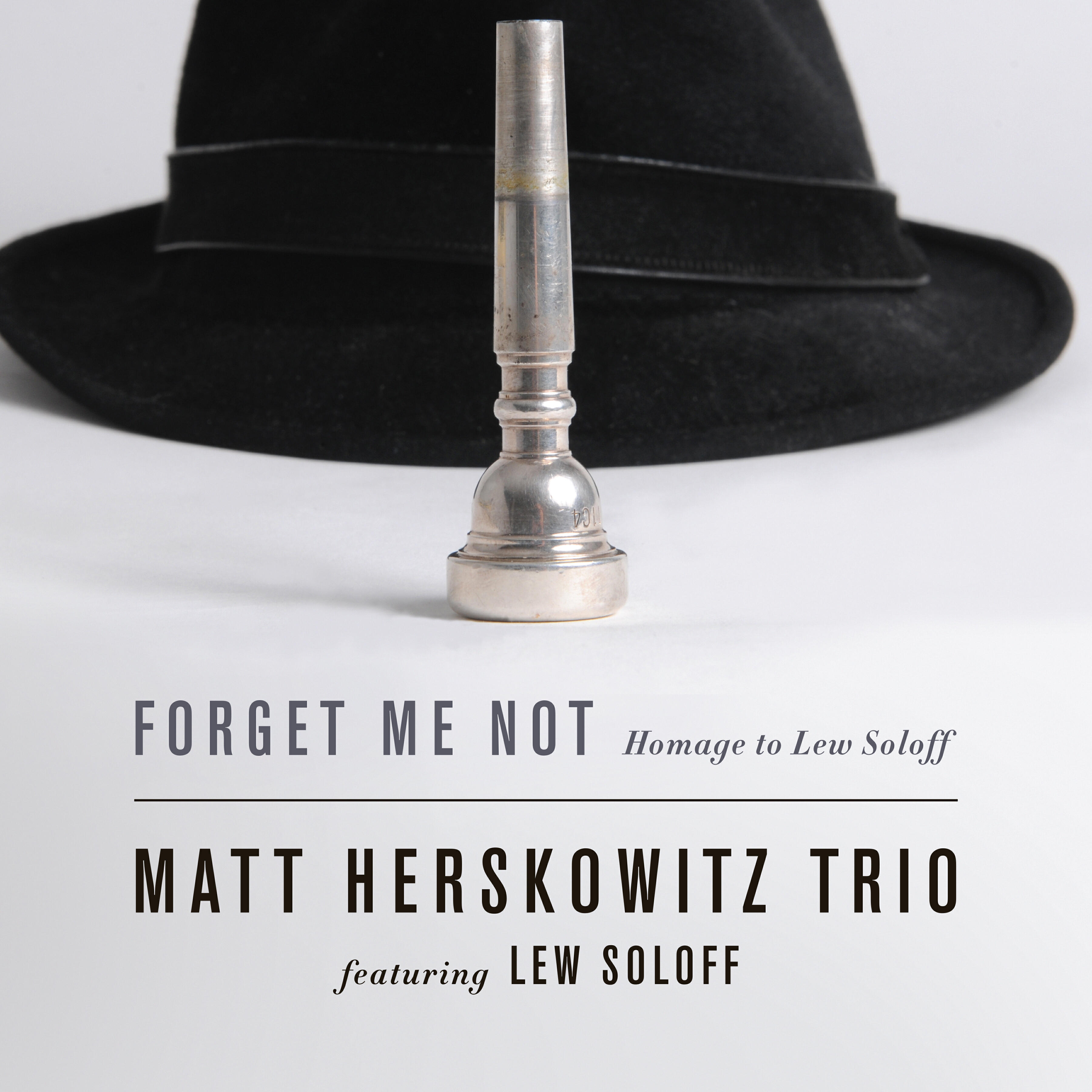 Matt Herskowitz Trio