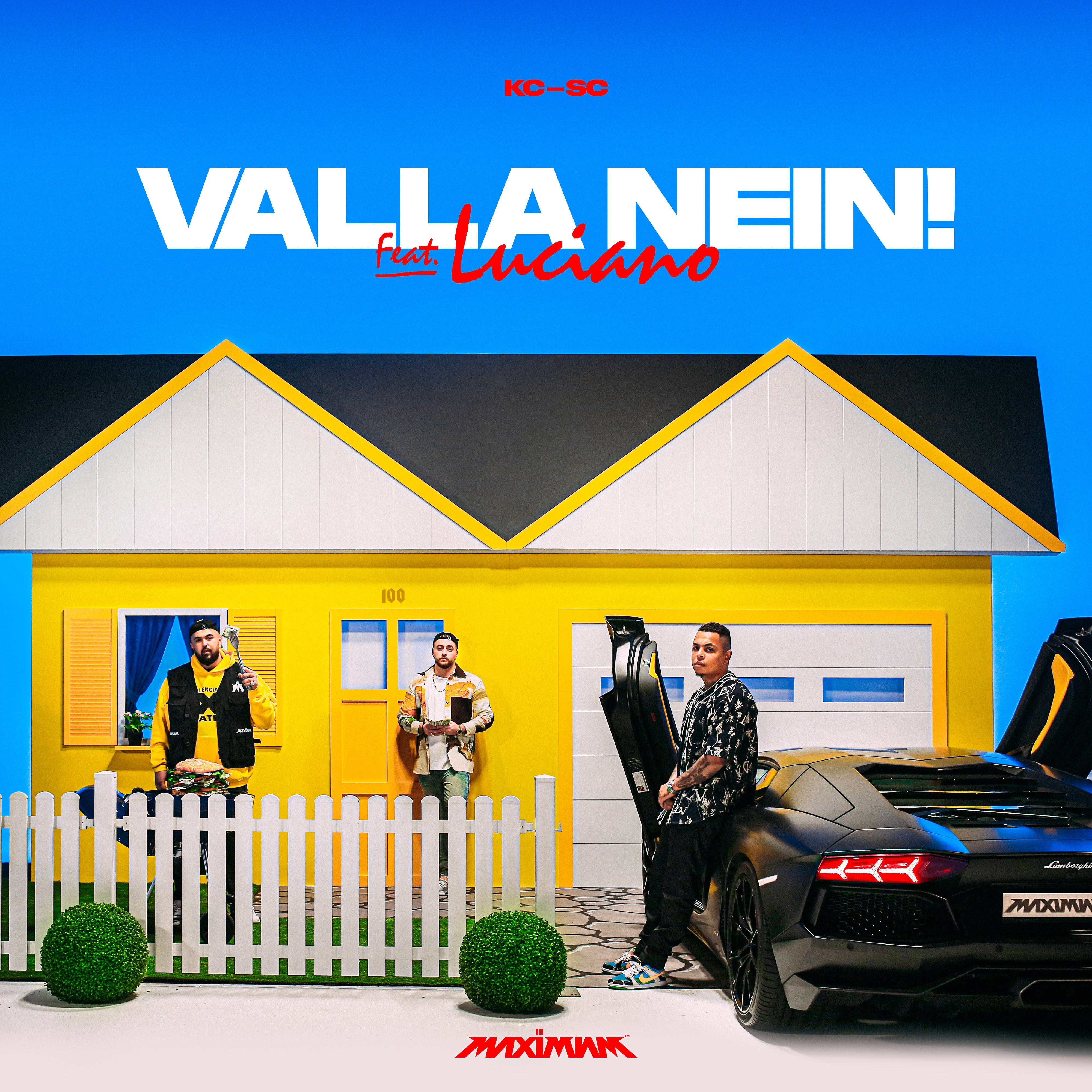 Релиз VALLA NEIN (feat. Luciano)