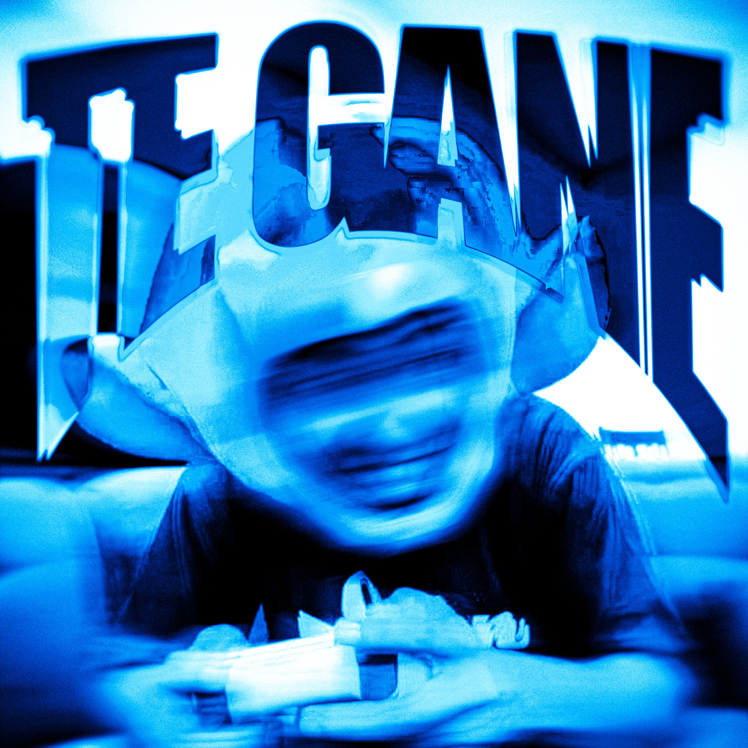 Постер альбома TE GANE