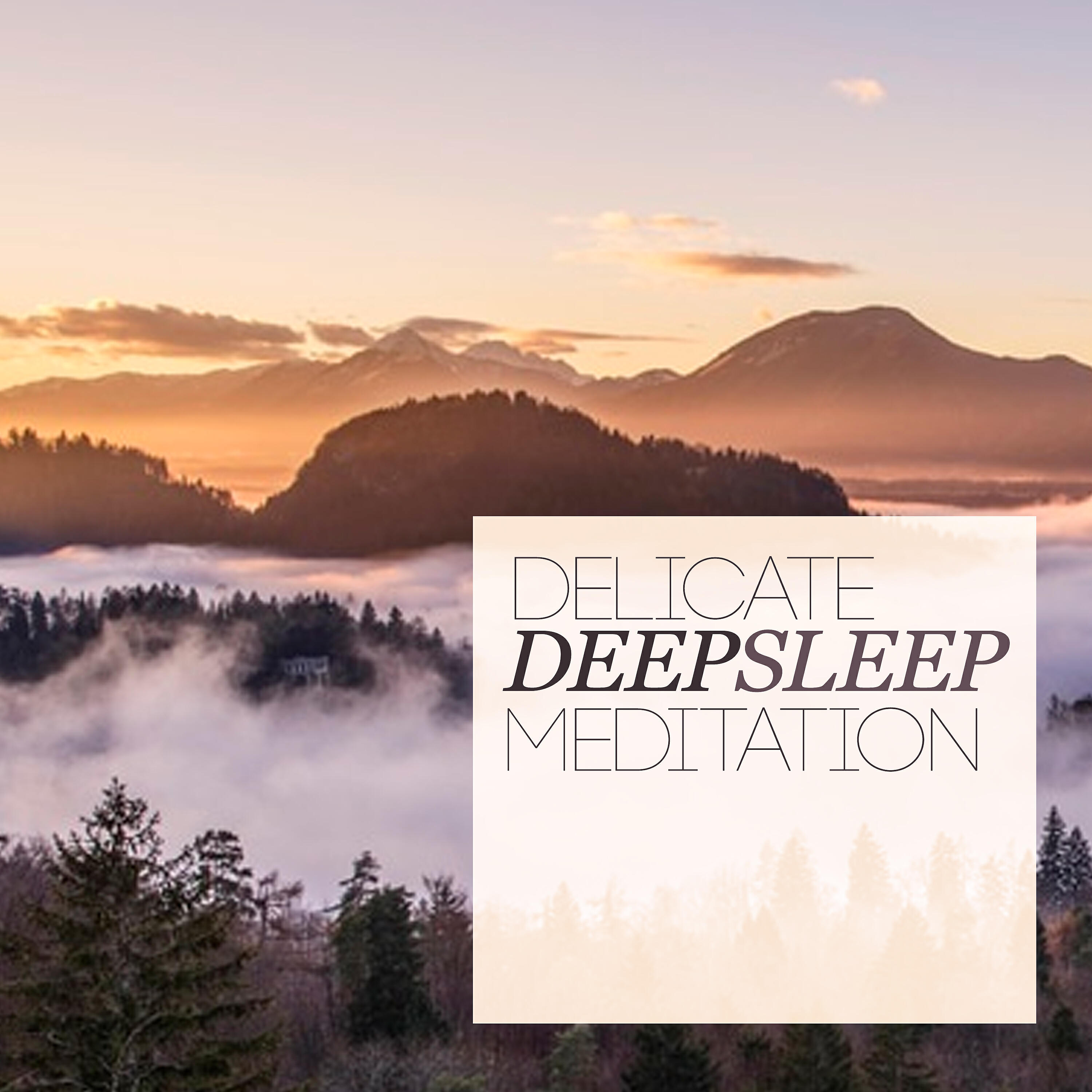 Релиз Delicate Deep Sleep Meditation