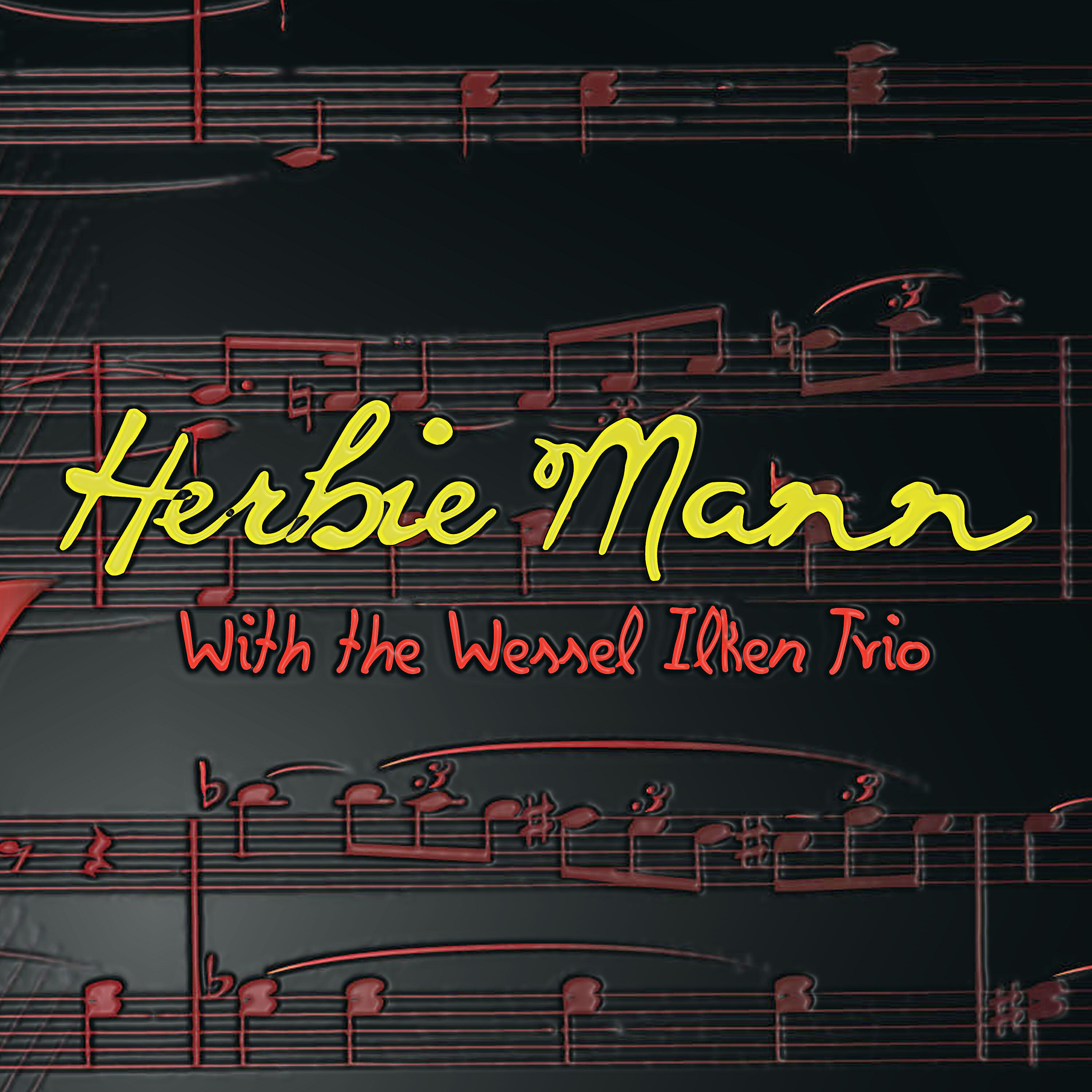 Релиз With the Wessel Ilcken Trio