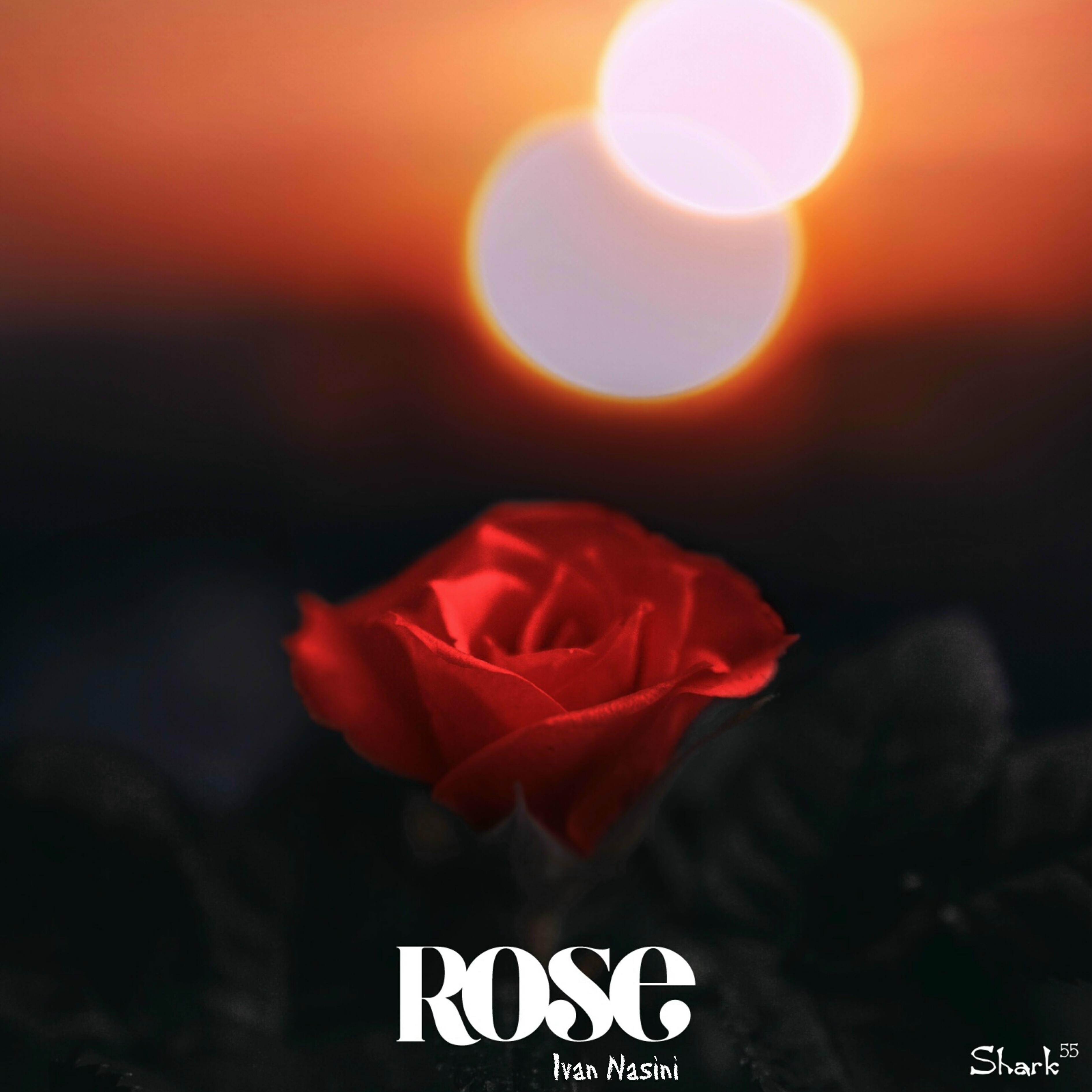 Релиз ROSE