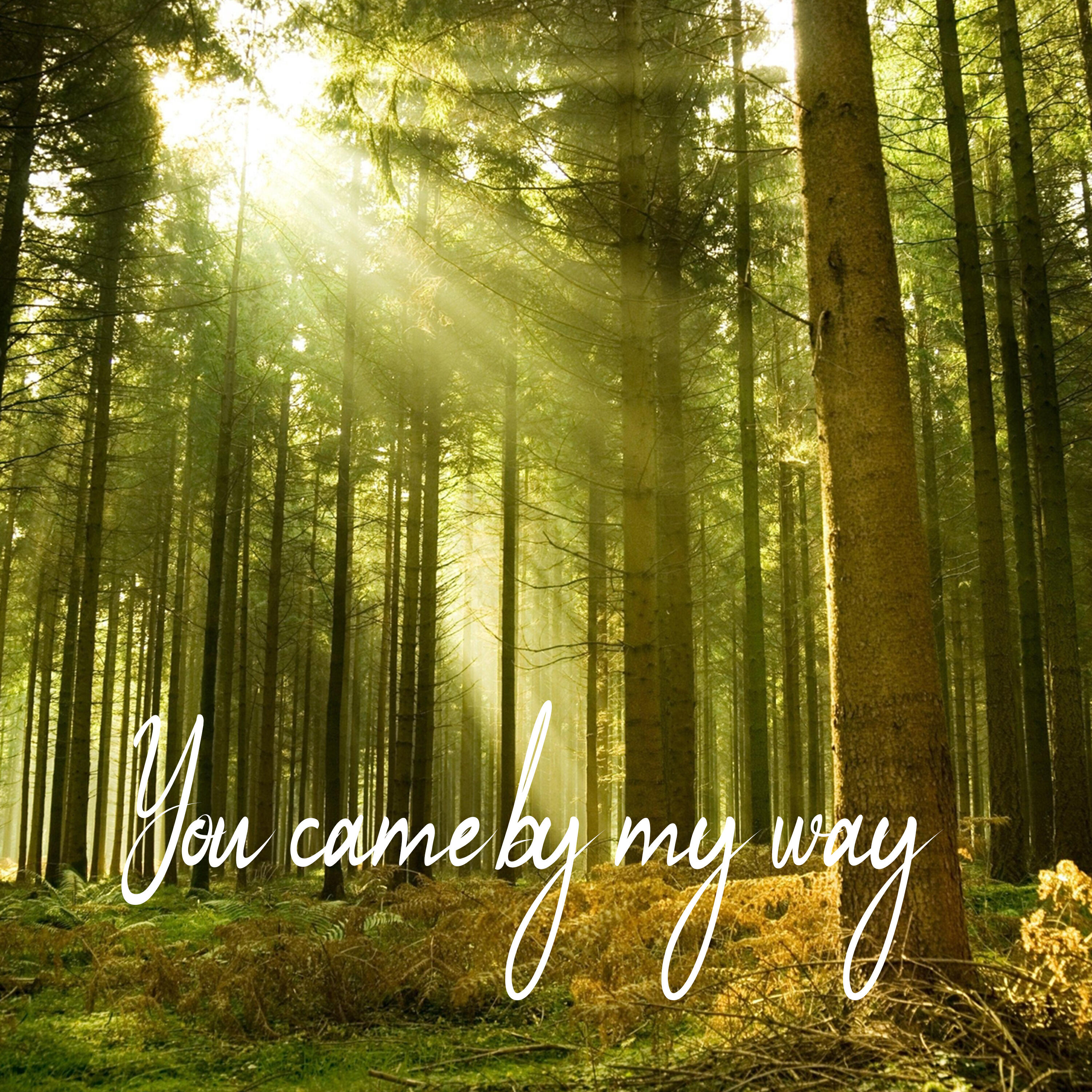 Релиз You came by my way