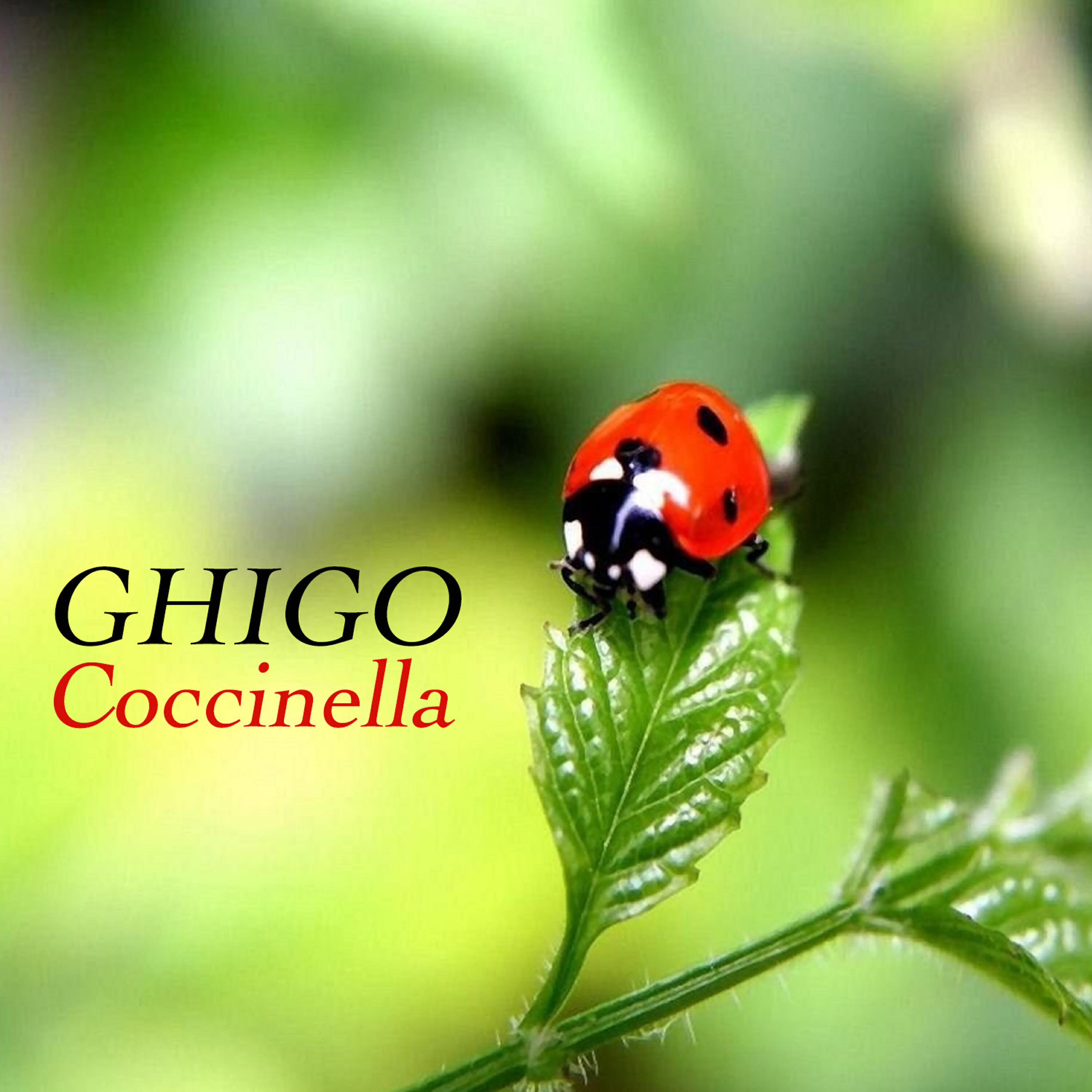 Релиз Coccinella