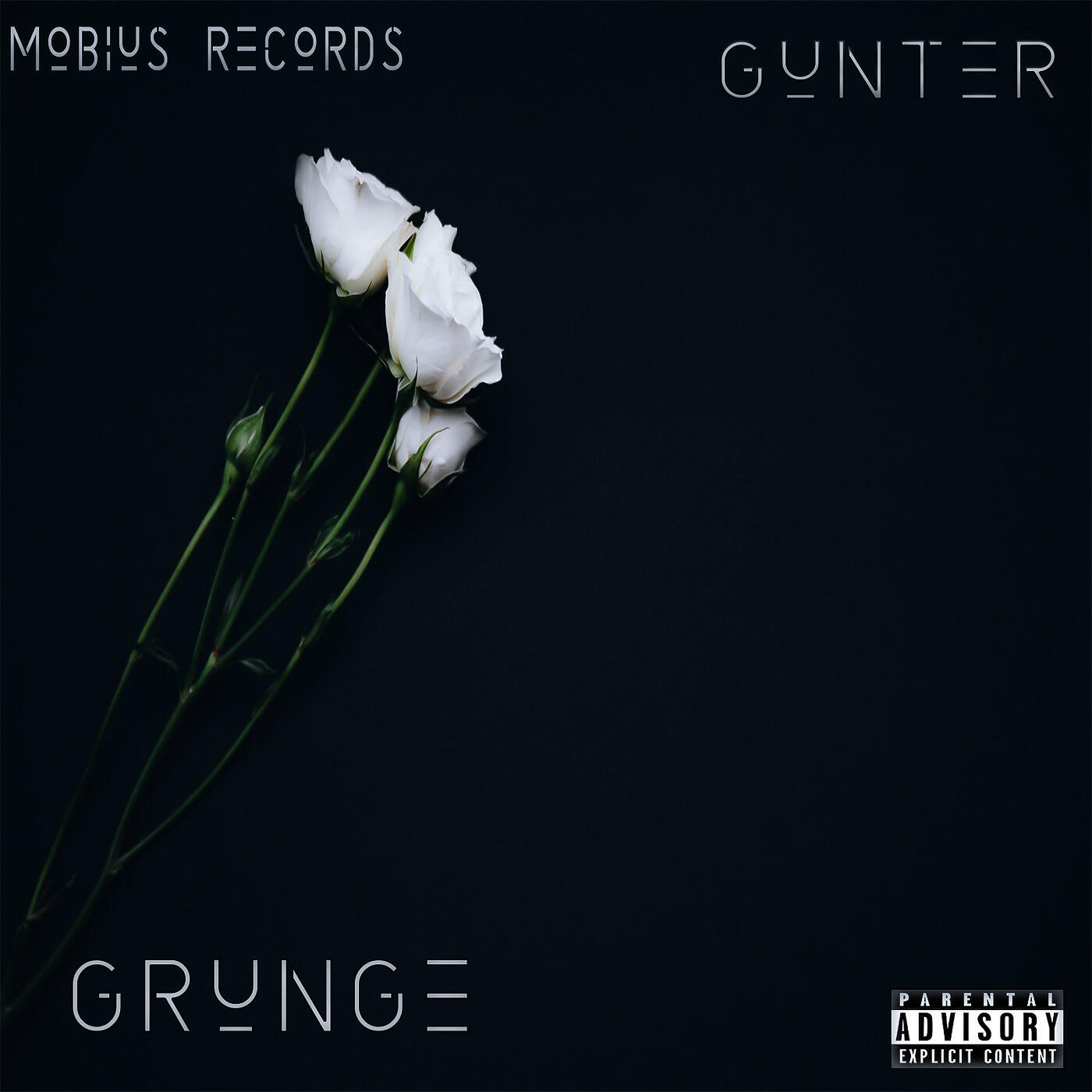 Релиз Grunge