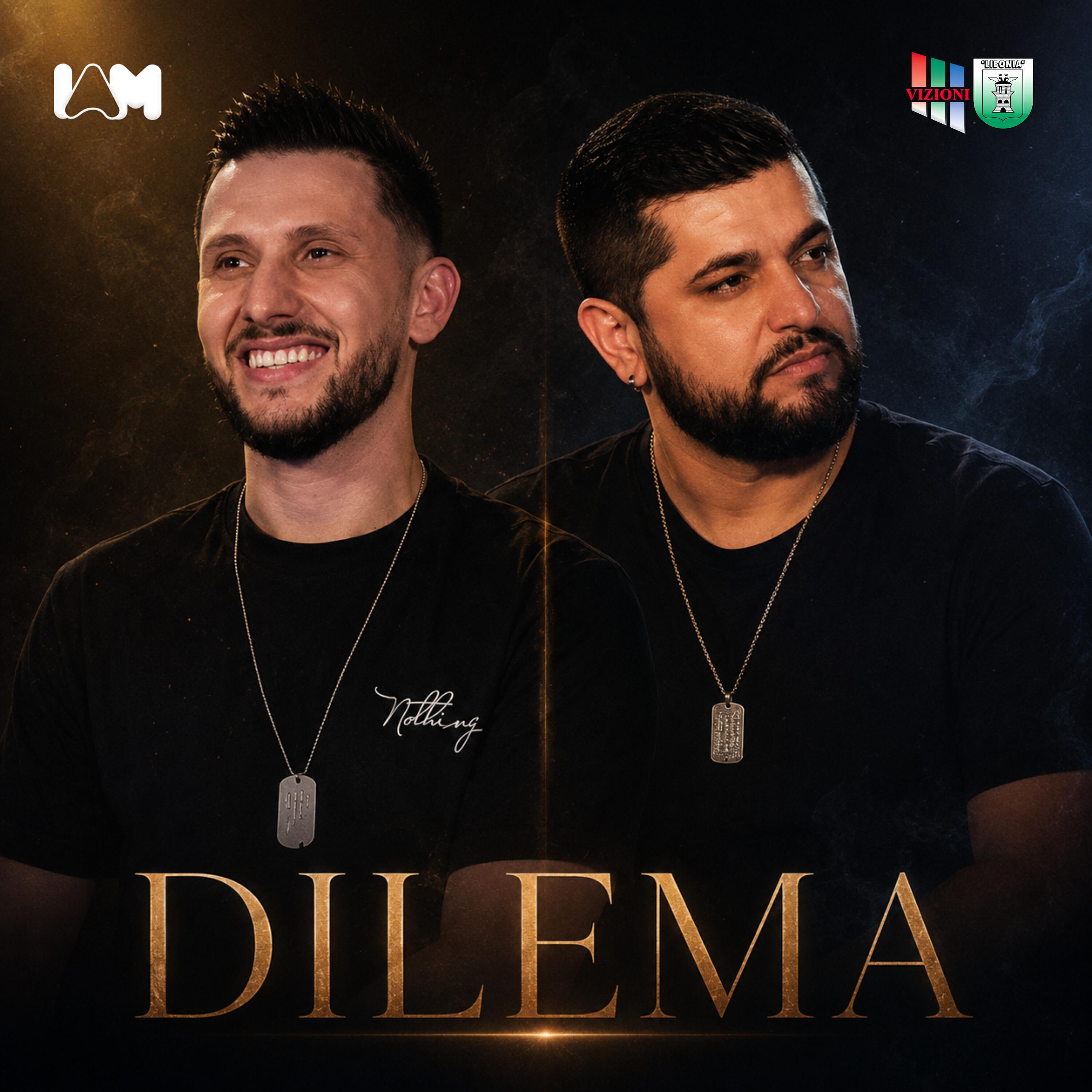 Релиз Dilema