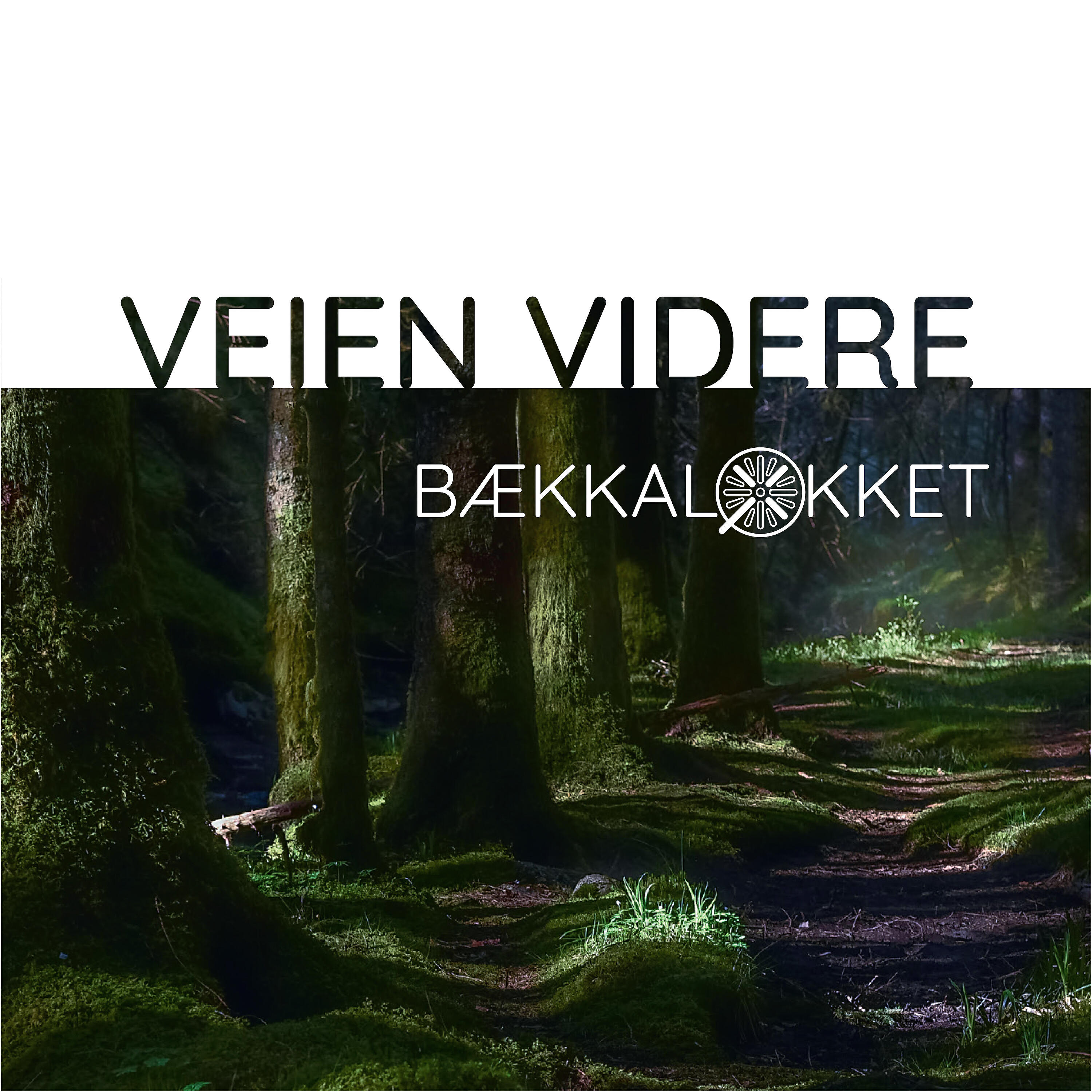 Bækkalokket