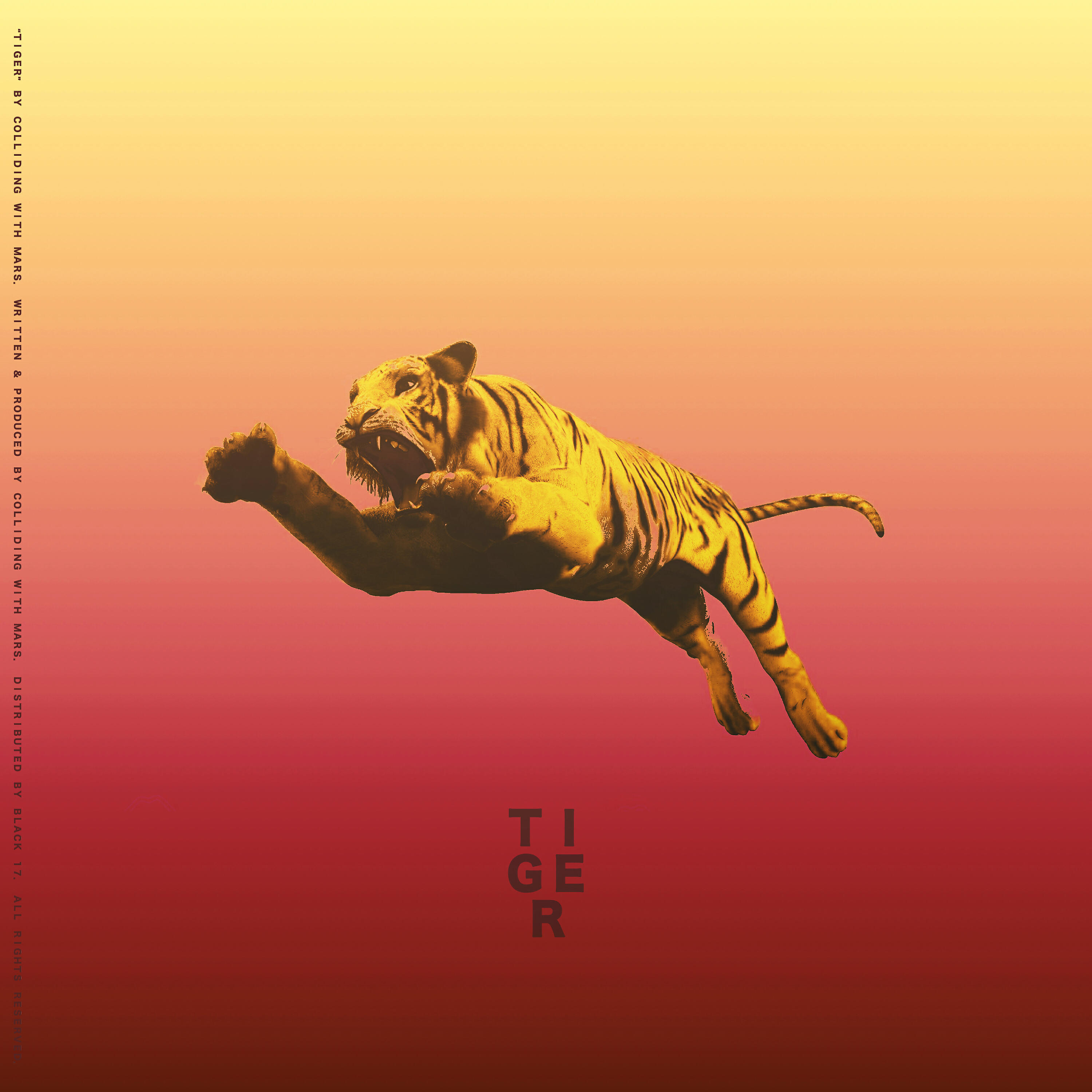 Релиз TIGER