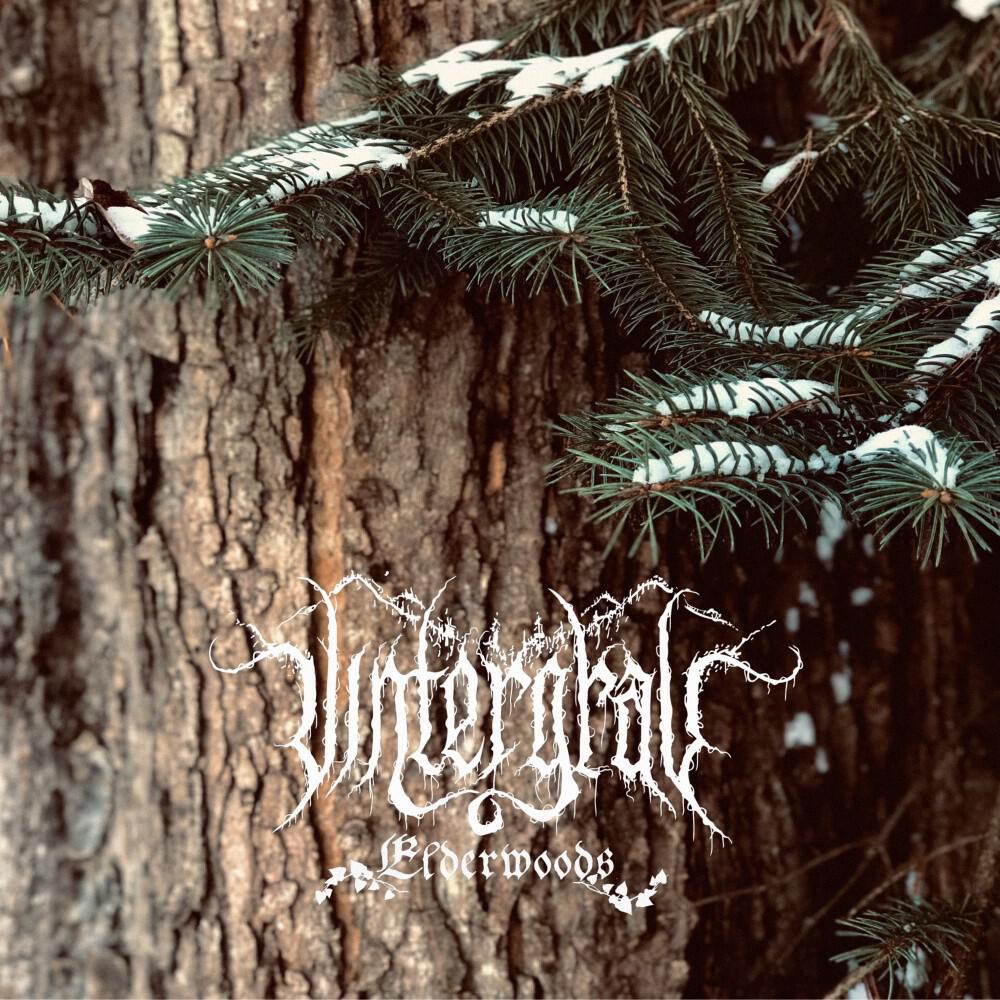 Релиз Elderwoods