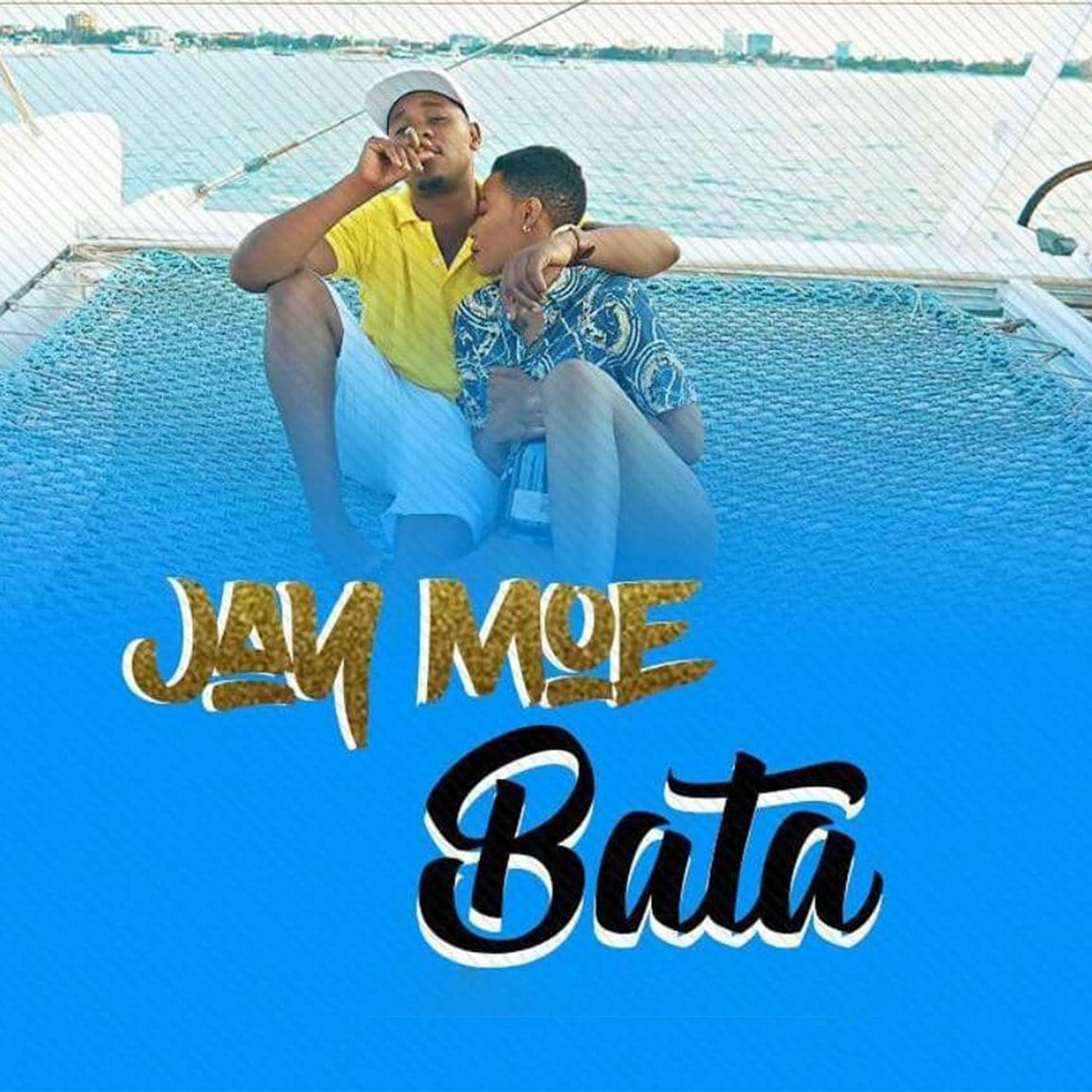 Релиз Bata