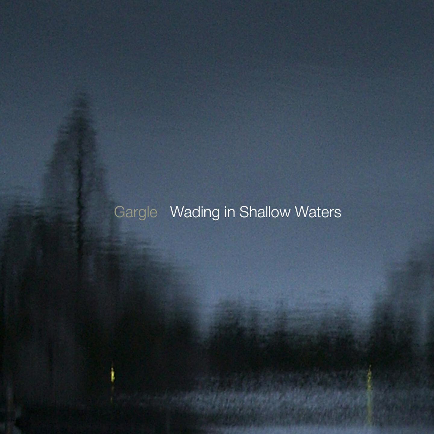 Релиз Wading in Shallow Waters