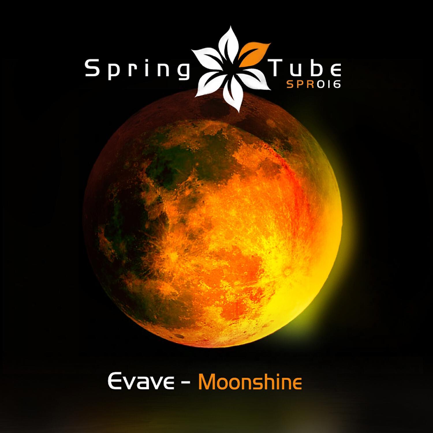Постер альбома Moonshine