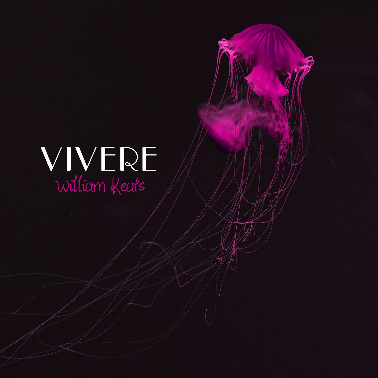Релиз Vivere