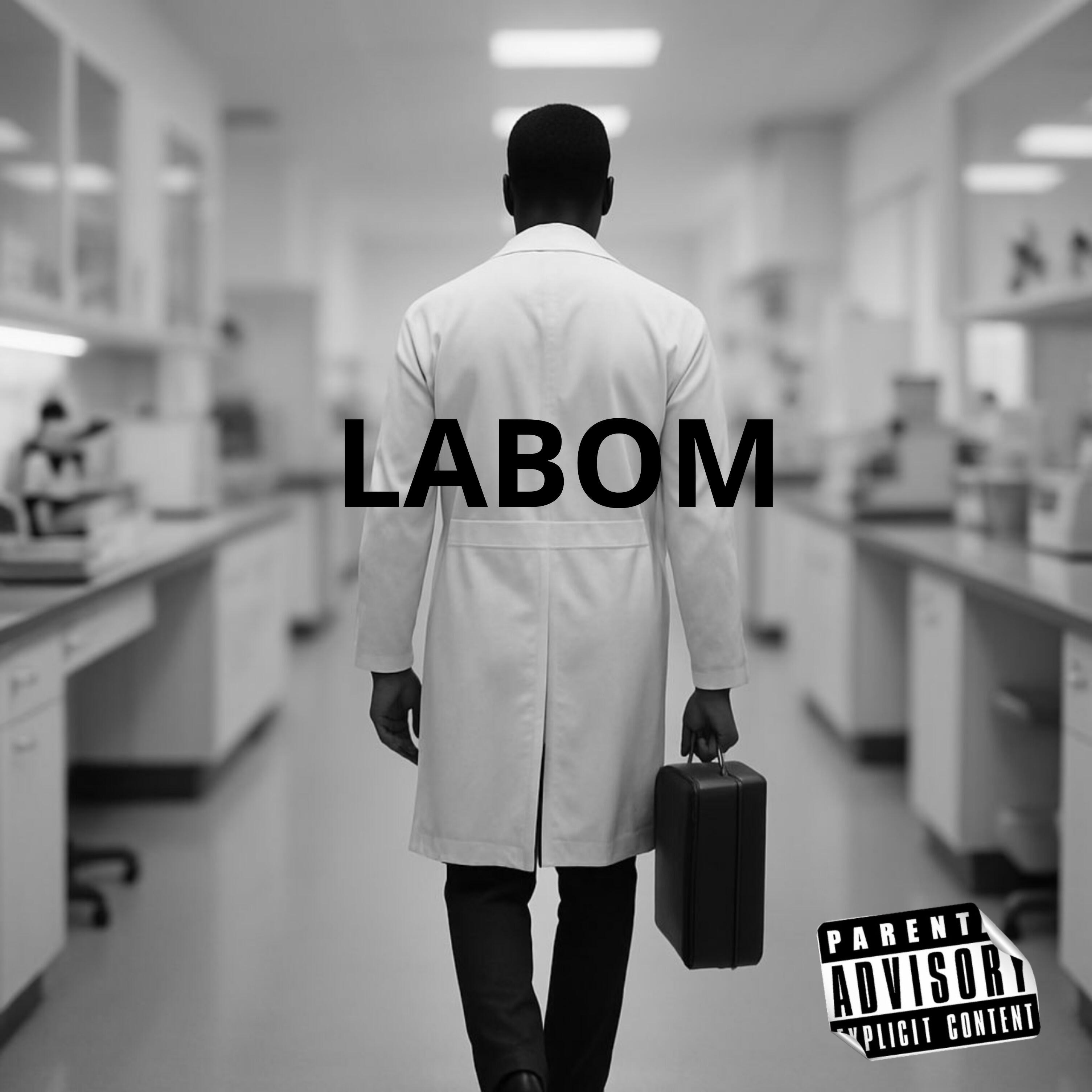 Релиз Labom