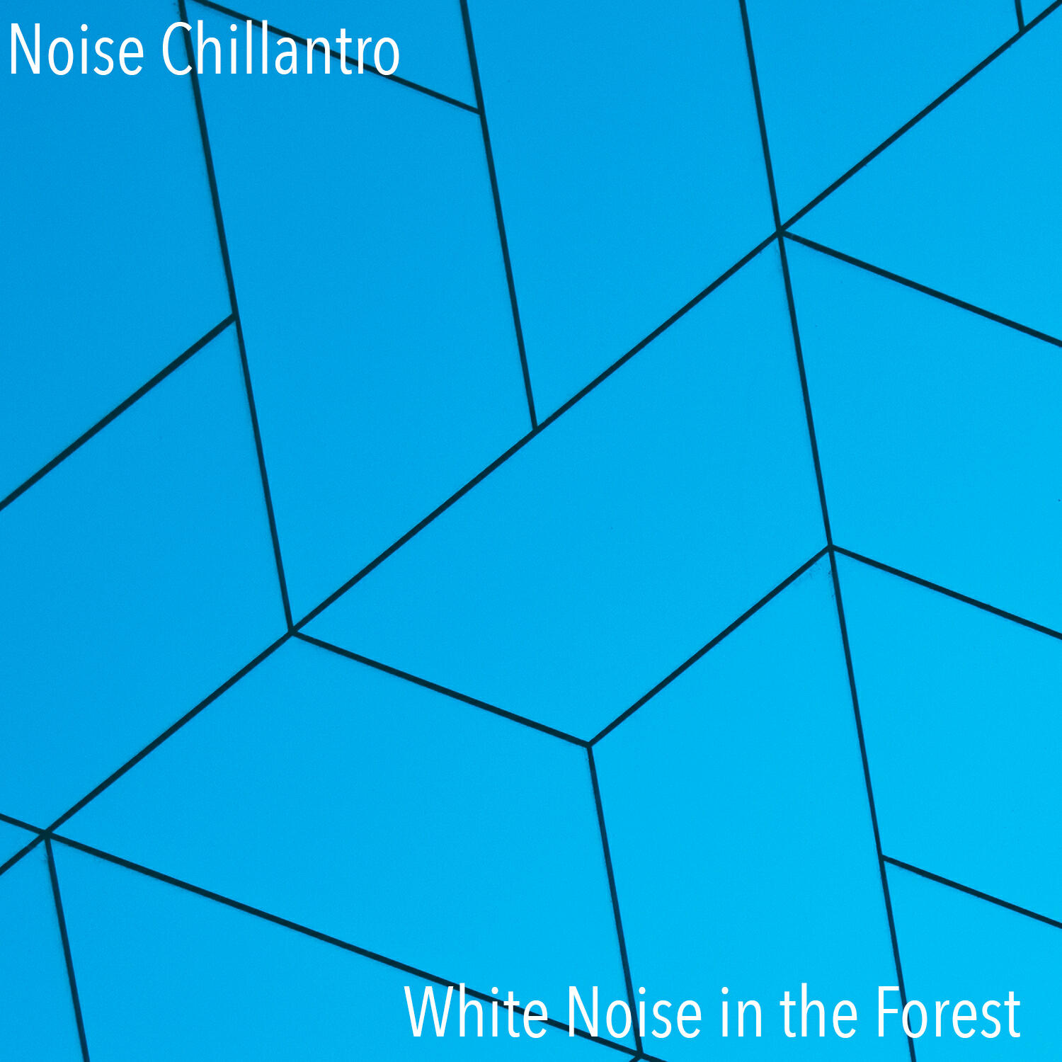 Noise Chillantro