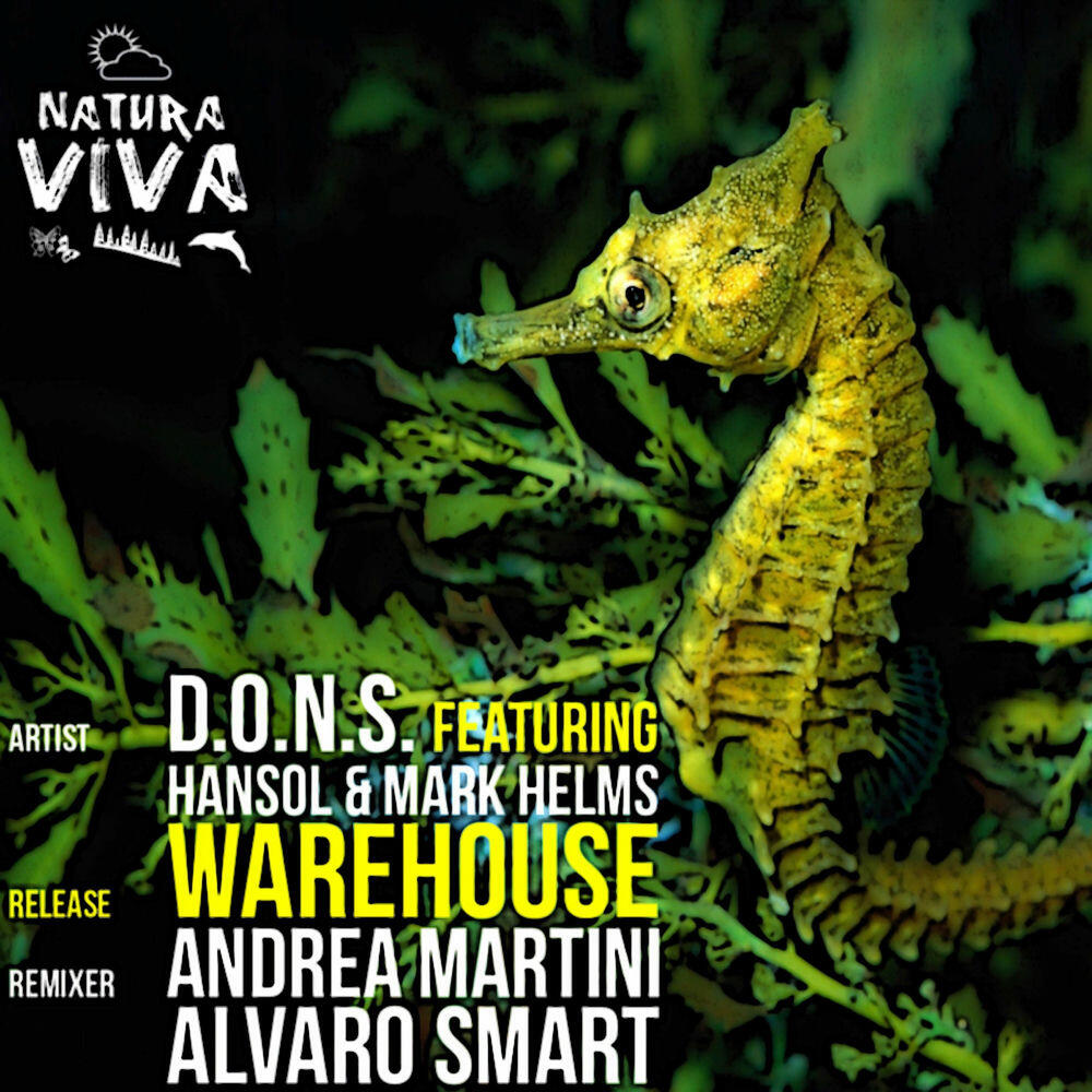 Релиз Warehouse