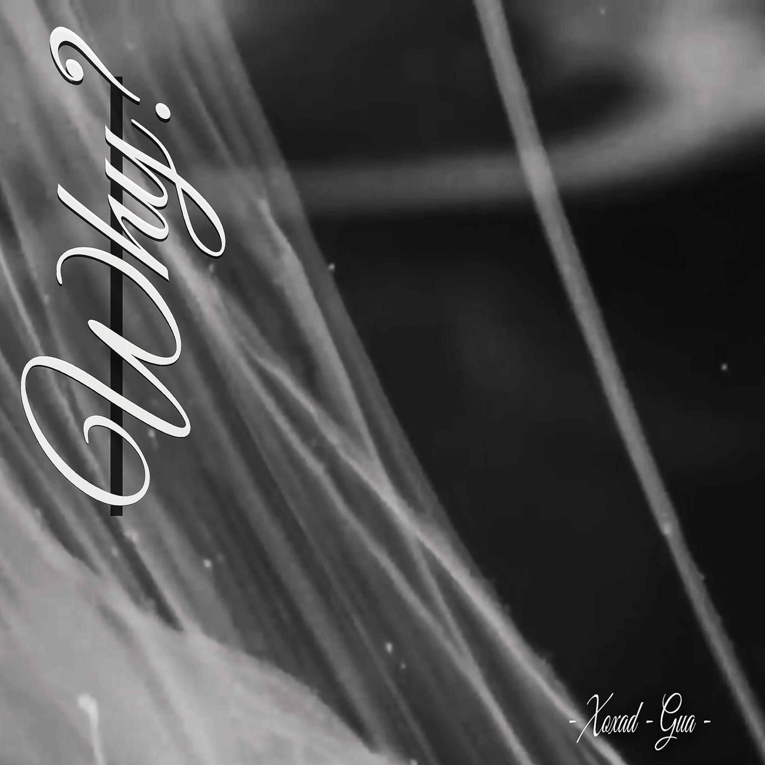 Релиз Why?