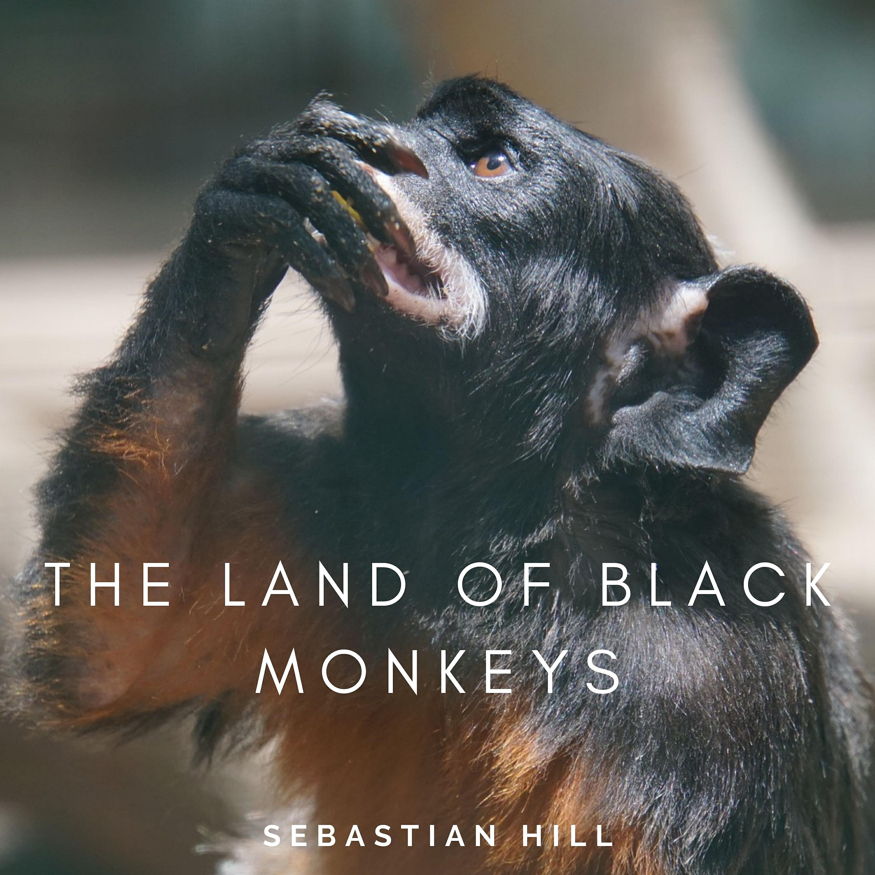Релиз The Land of Black Monkeys