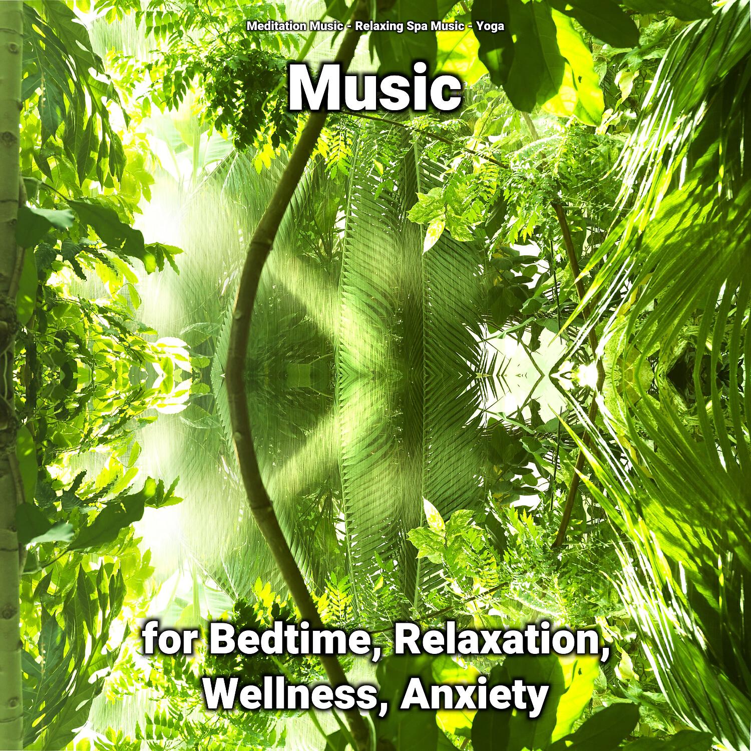 Релиз Music for Bedtime, Relaxation, Wellness, Anxiety