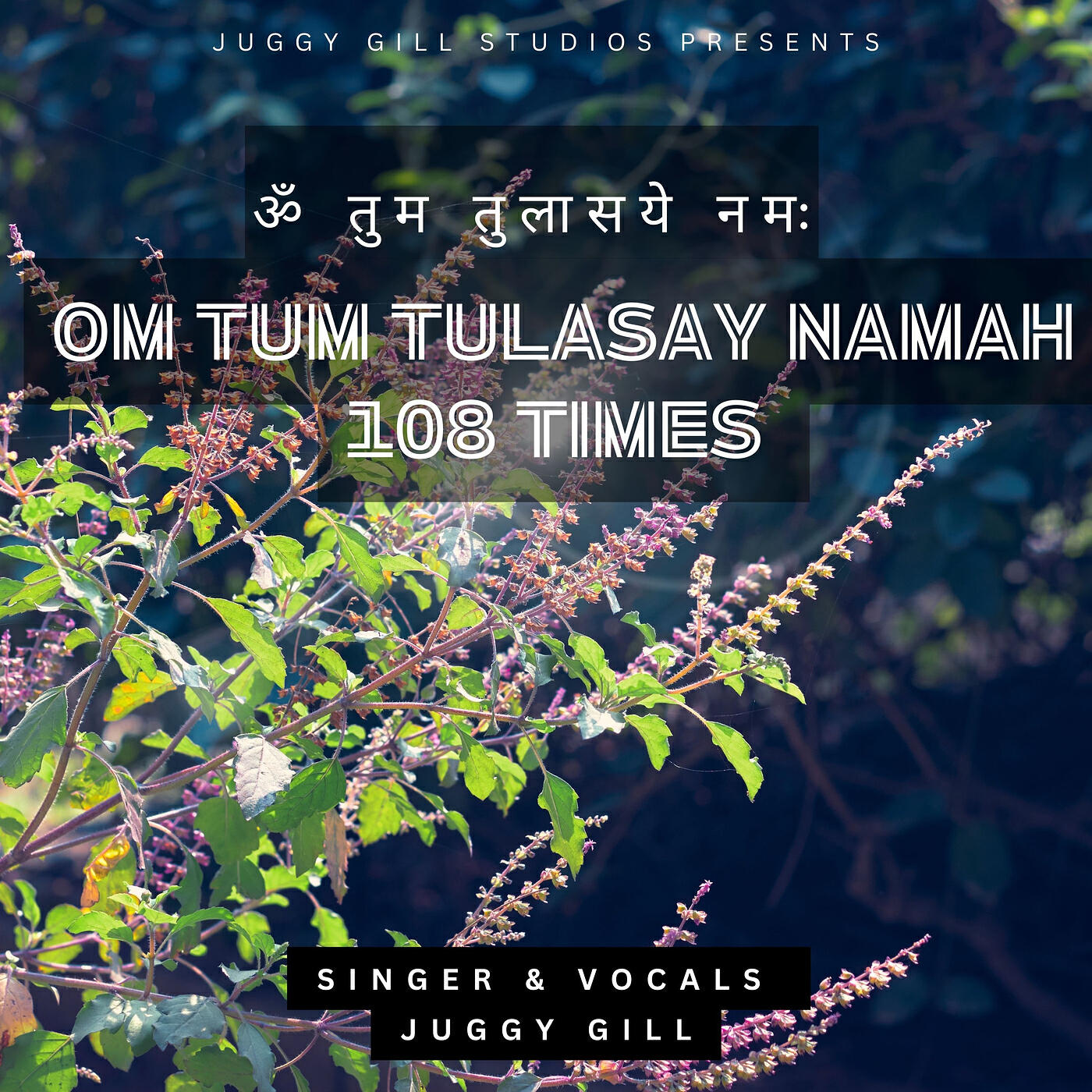 Релиз Om Tum Tulasay Namah 108 Times