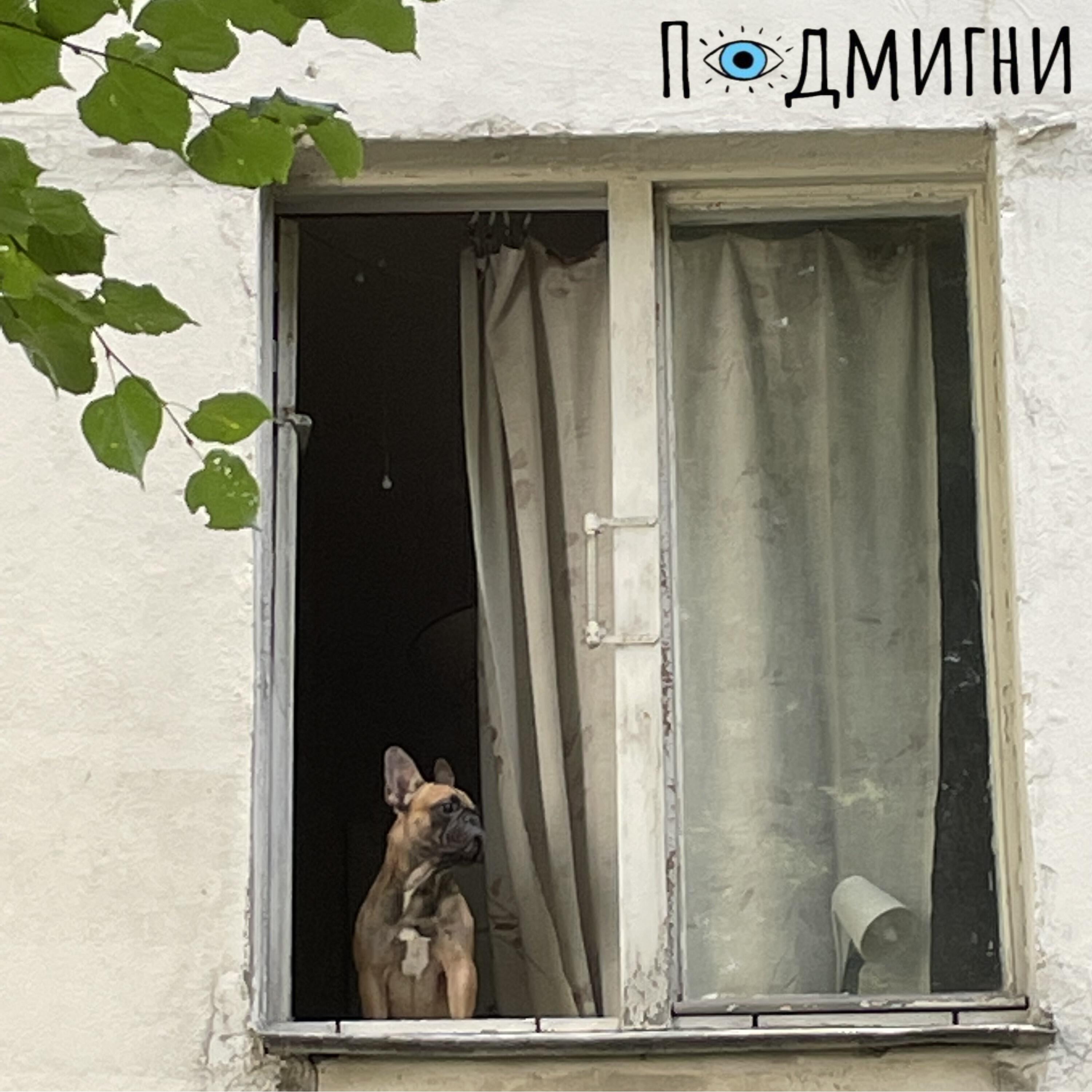 Релиз И станет лучше
