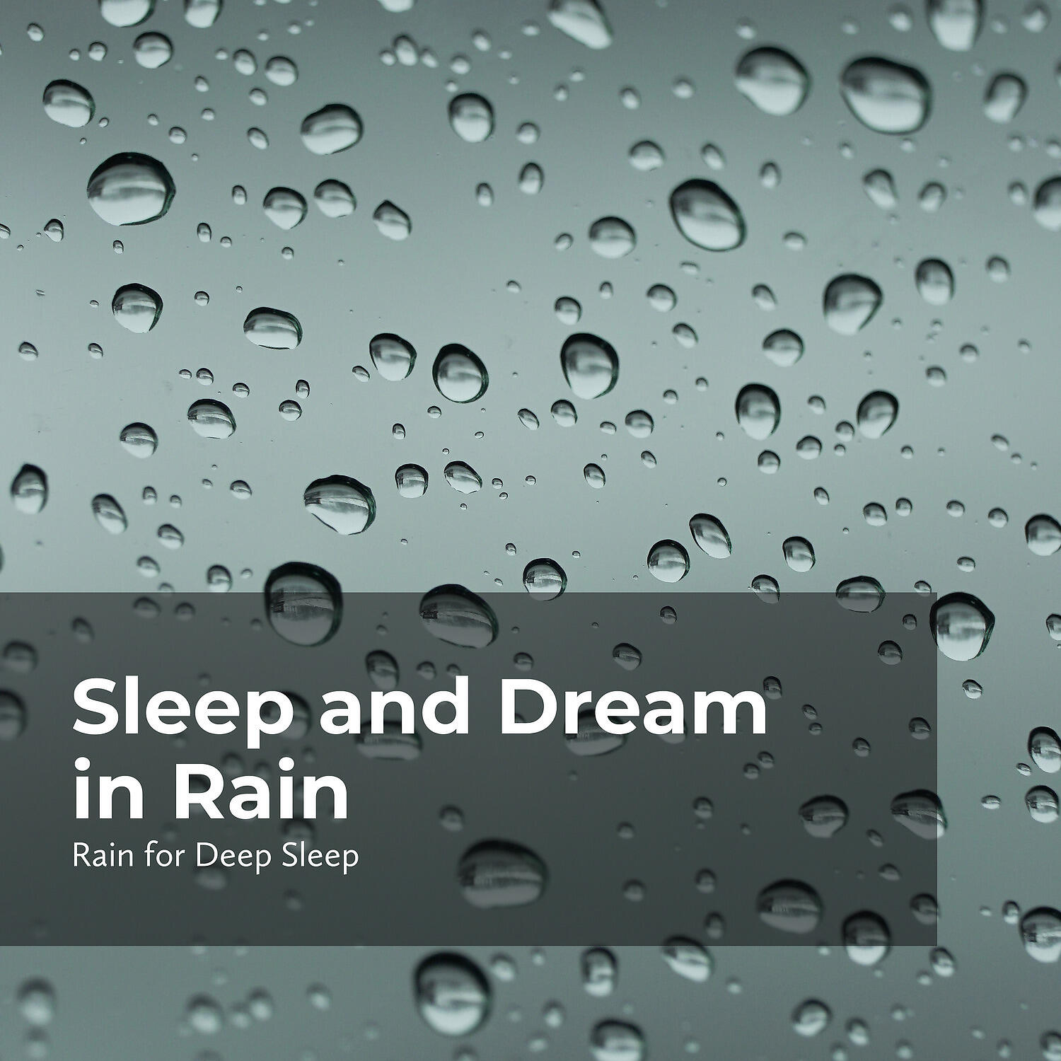 Релиз Sleep and Dream in Rain
