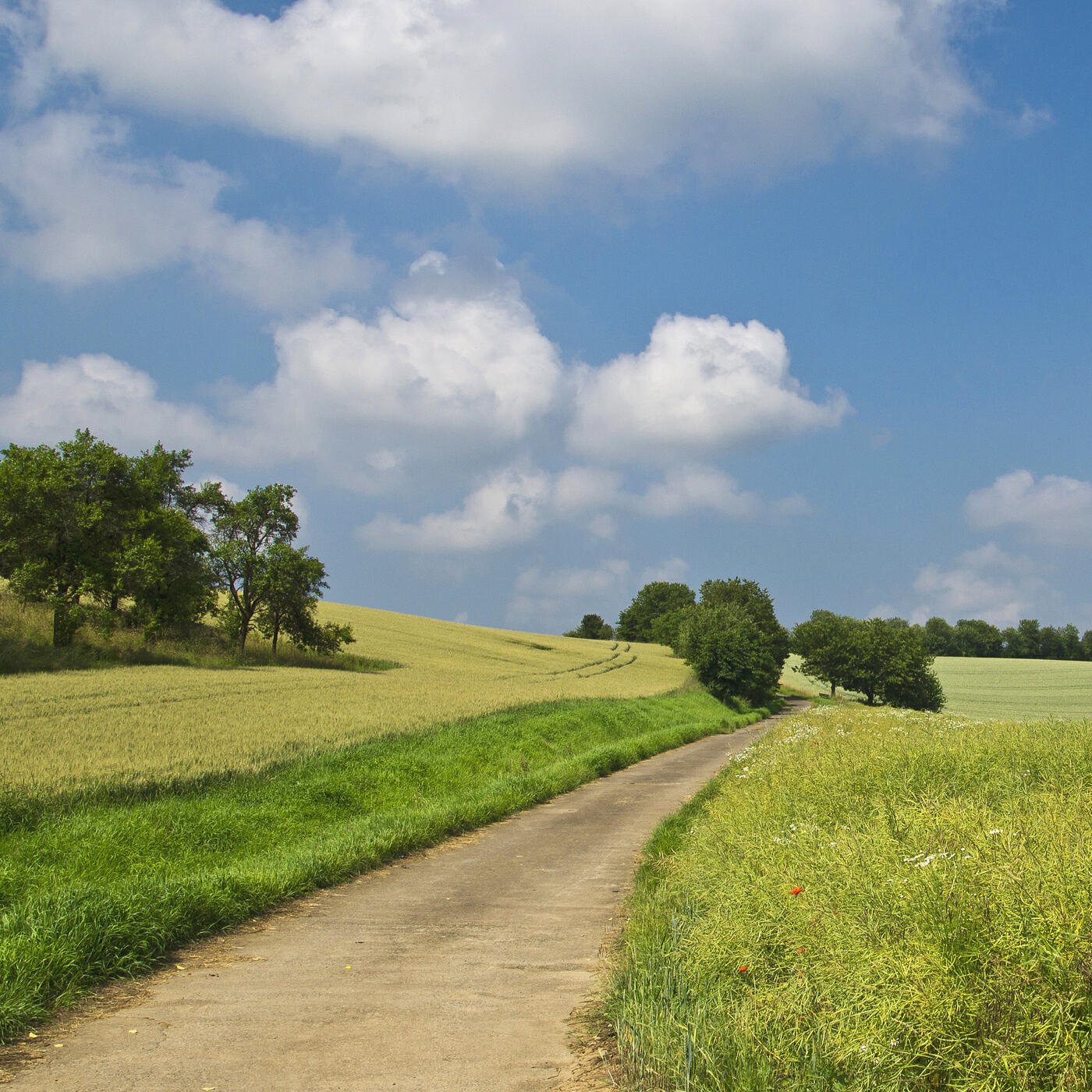 Релиз Summer Journey