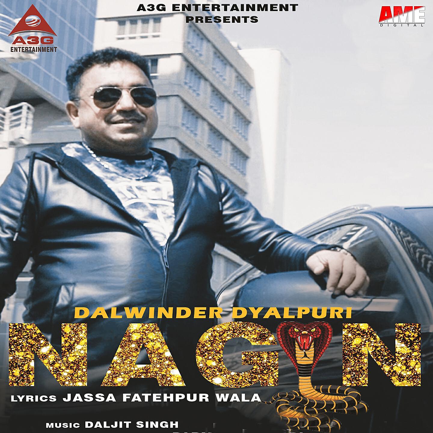 Релиз Nagin