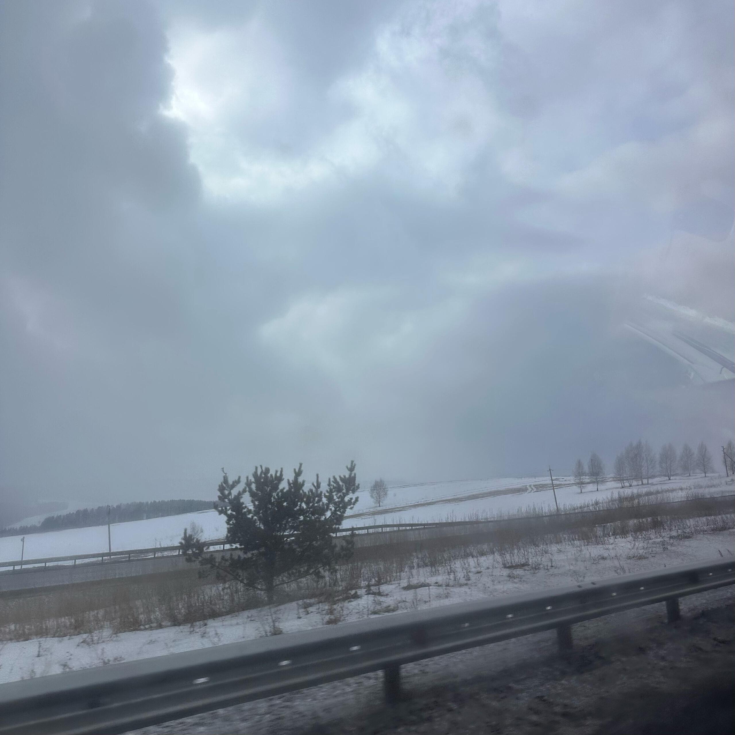 дисайпл