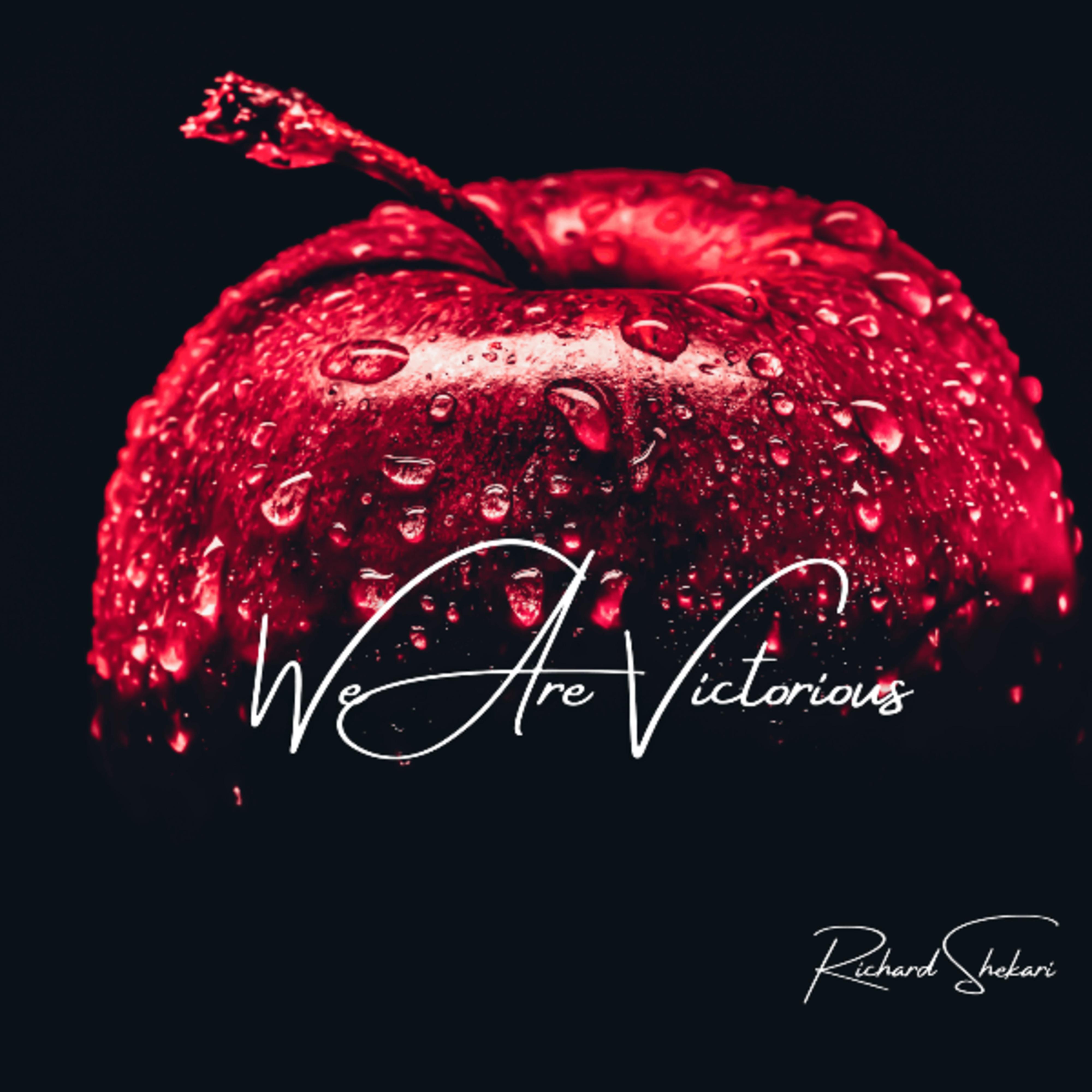 Релиз We Are Victorious