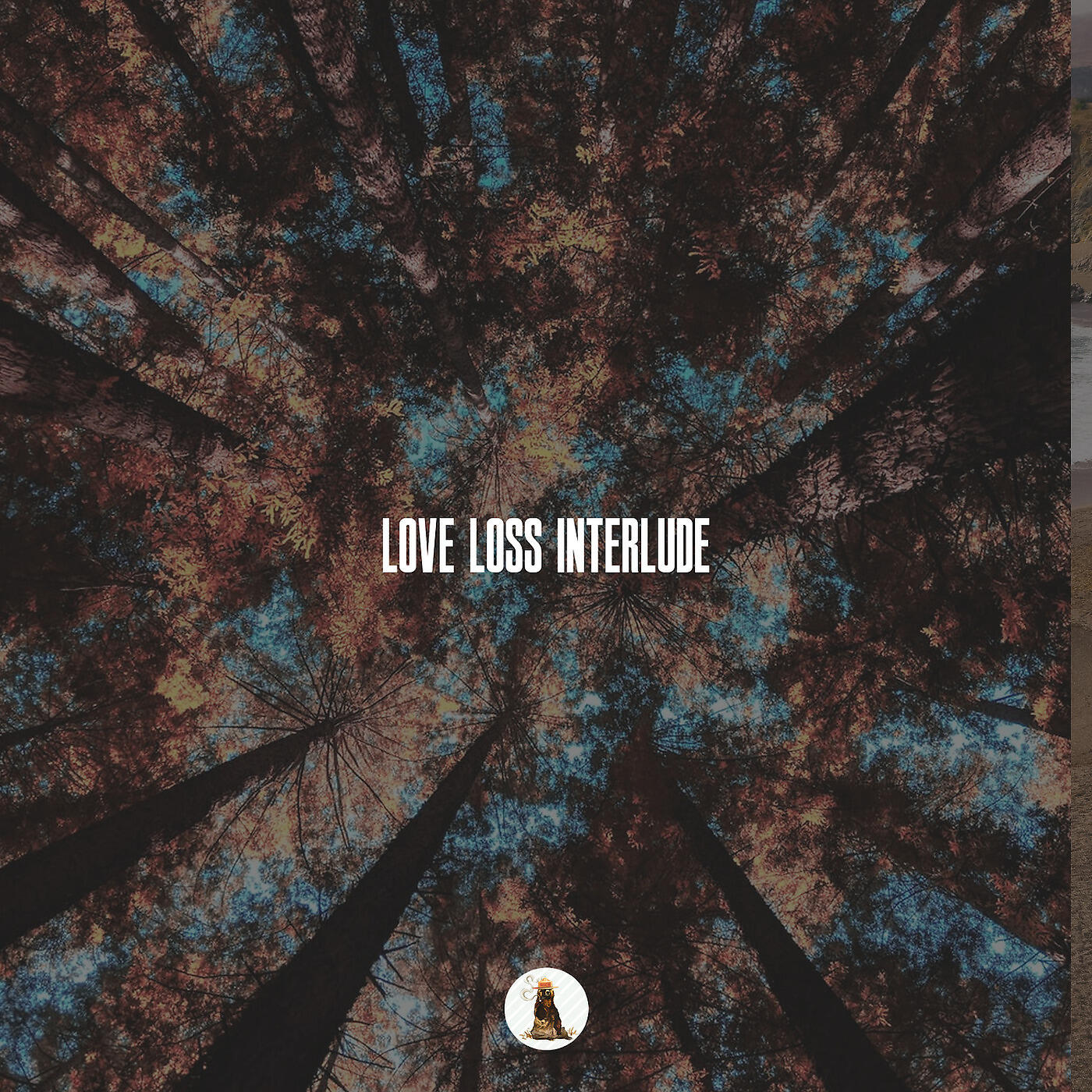Релиз Love, Loss, Interlude