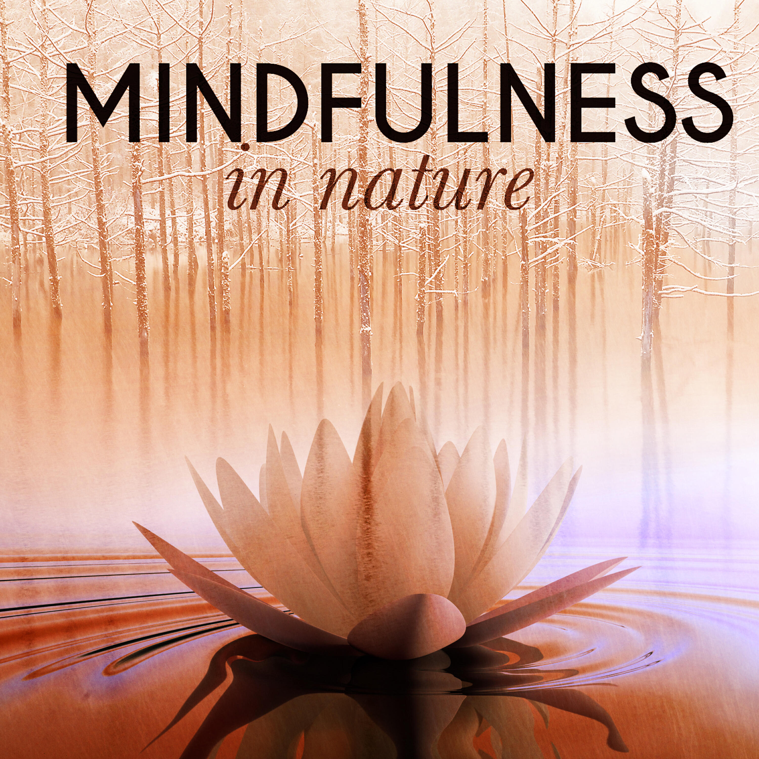 Mindful Nature