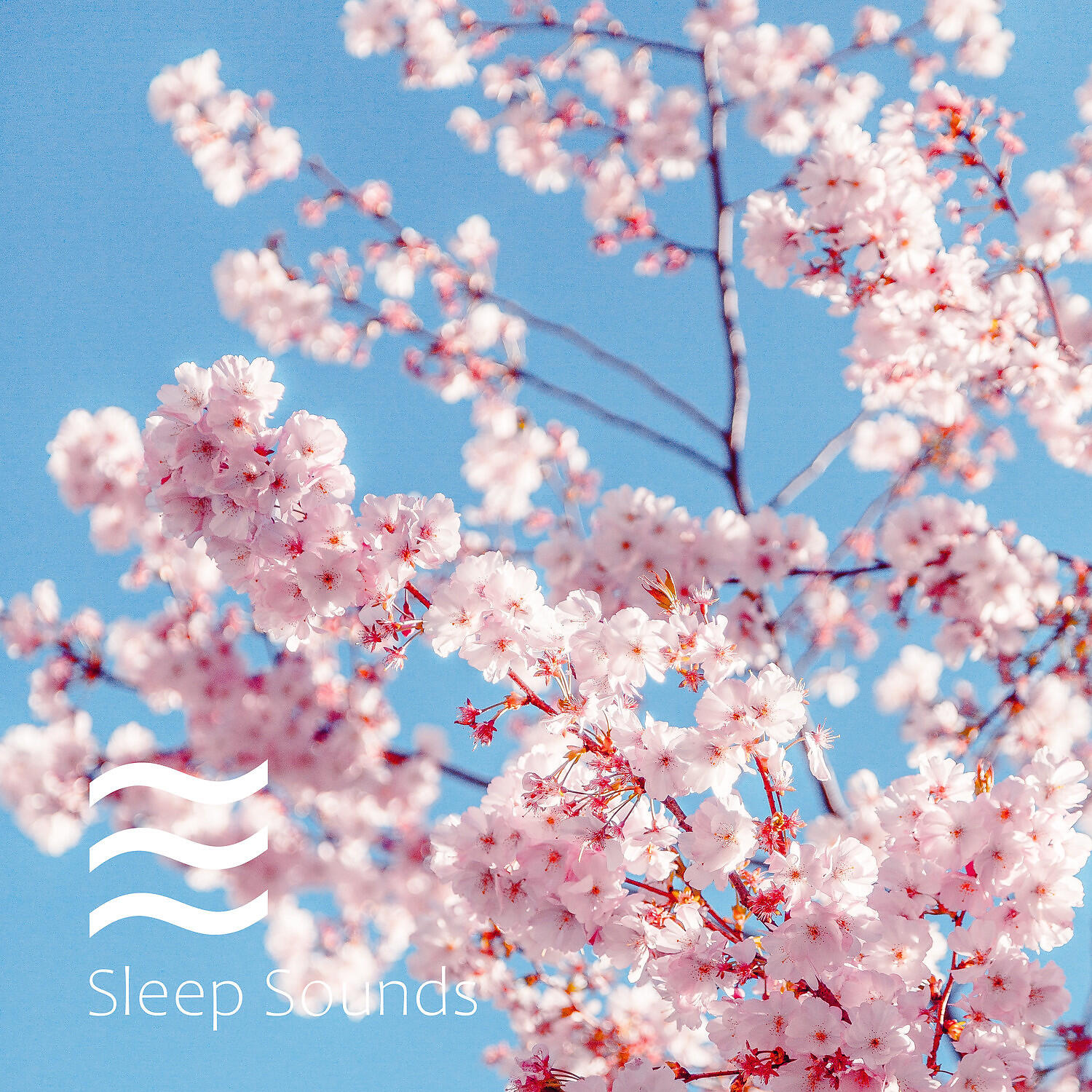 Релиз Pink Noise for Meditation Spring Collection