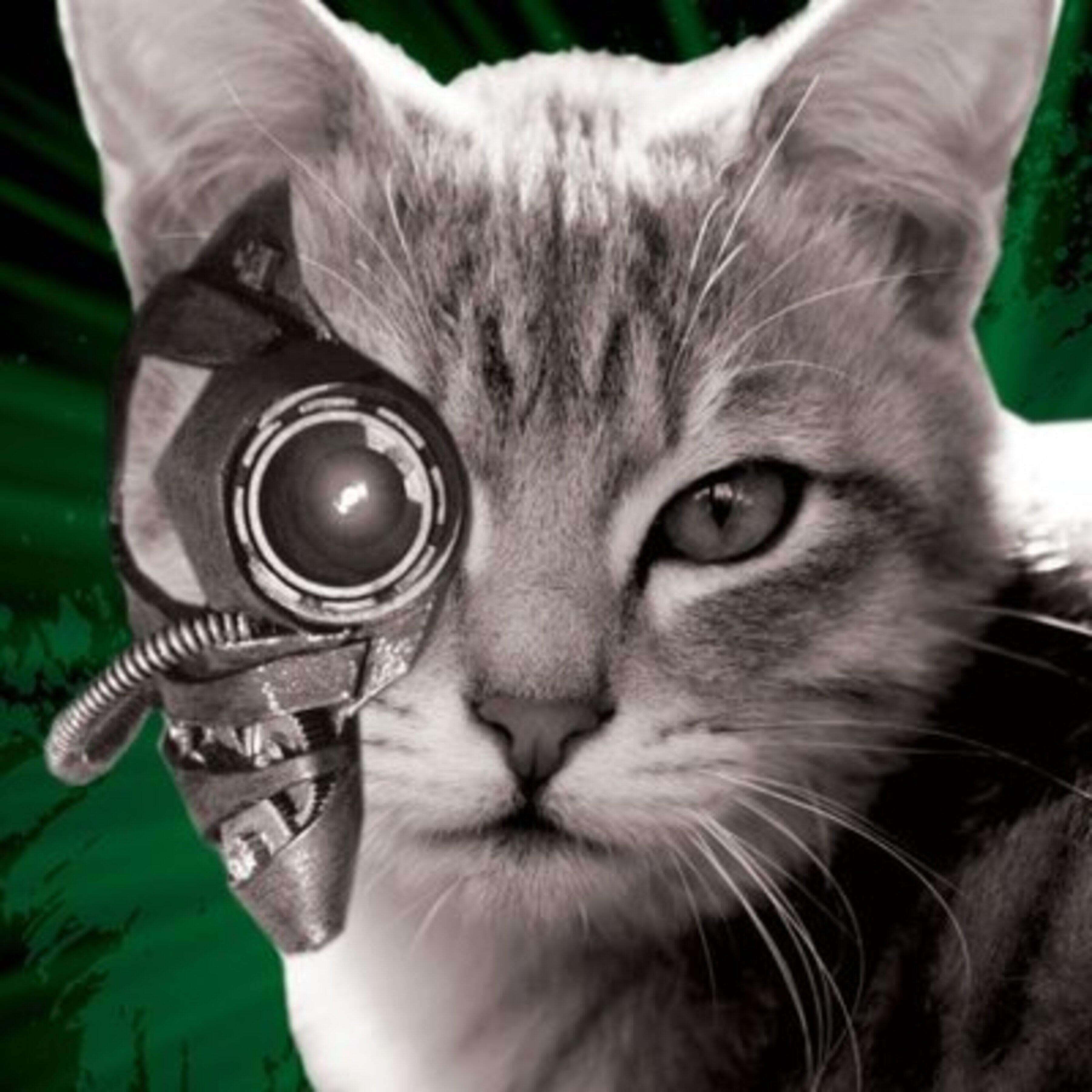 Релиз Skynet