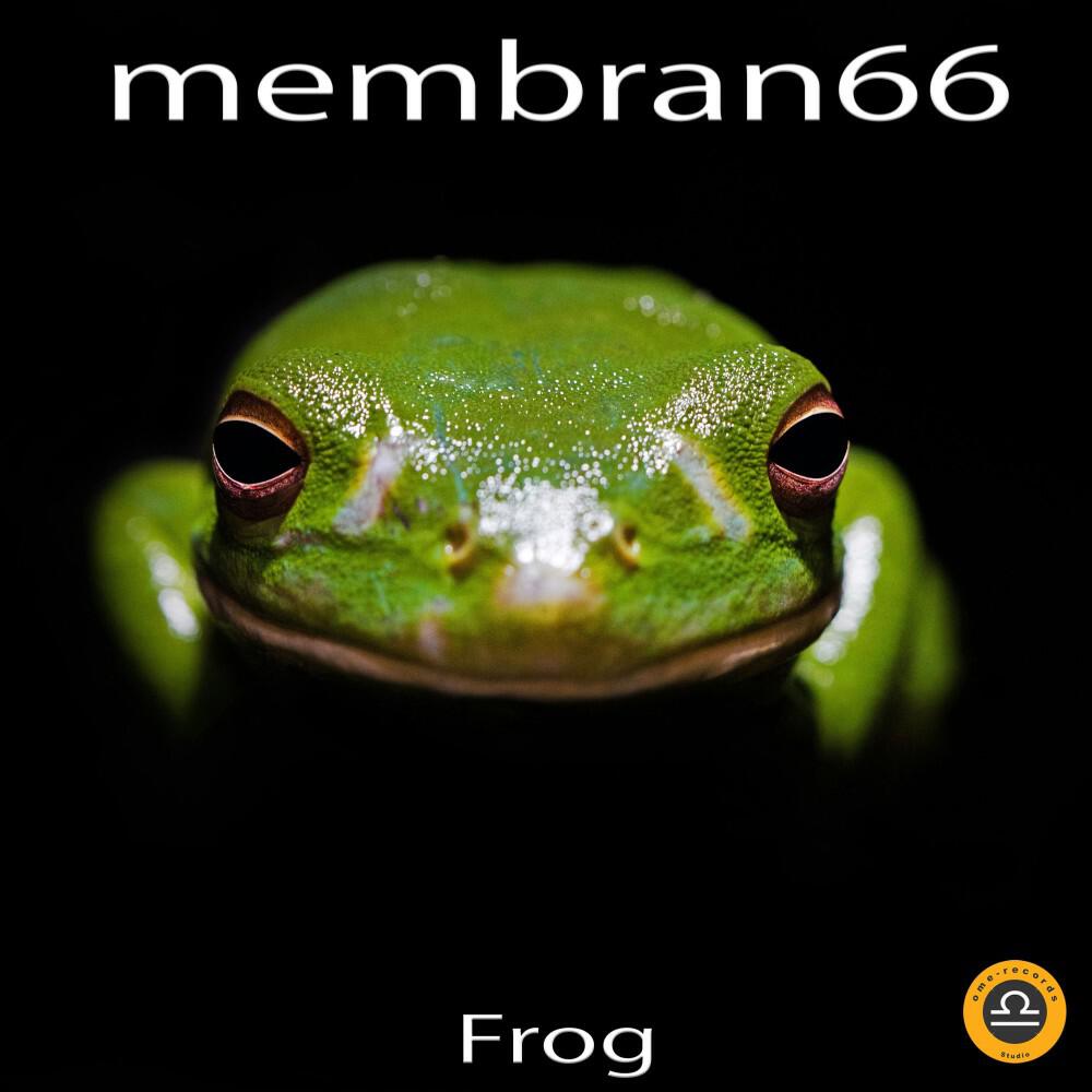 Релиз Frog