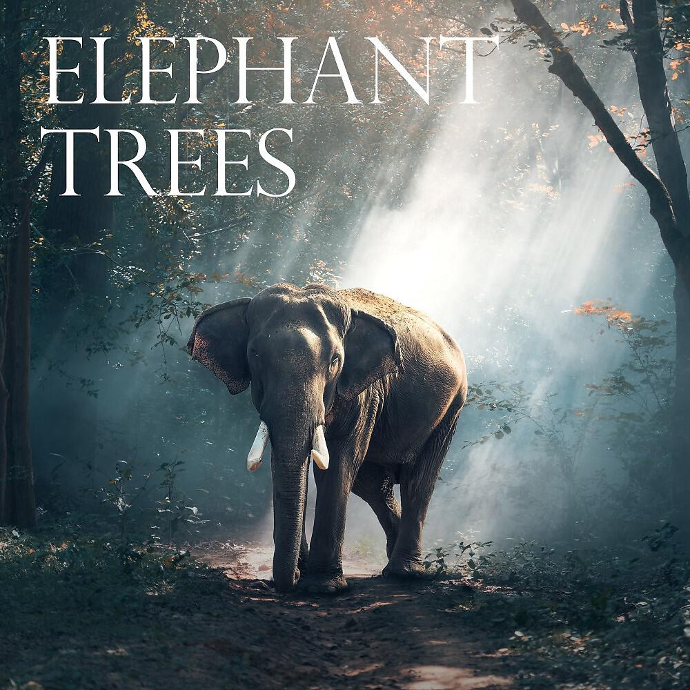 Релиз Elephant Trees