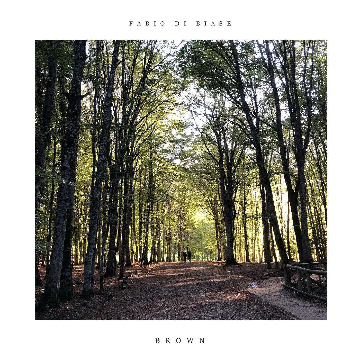 Релиз Brown