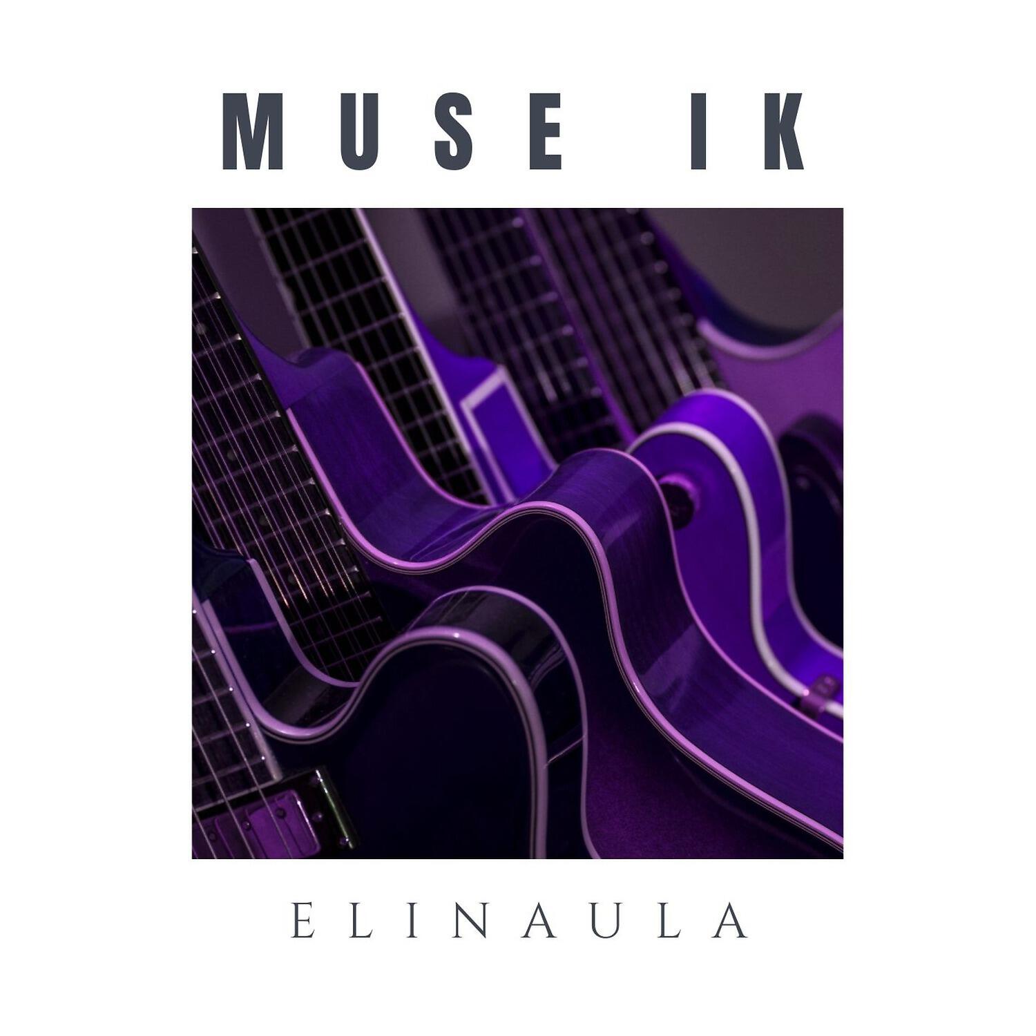 Elinaula