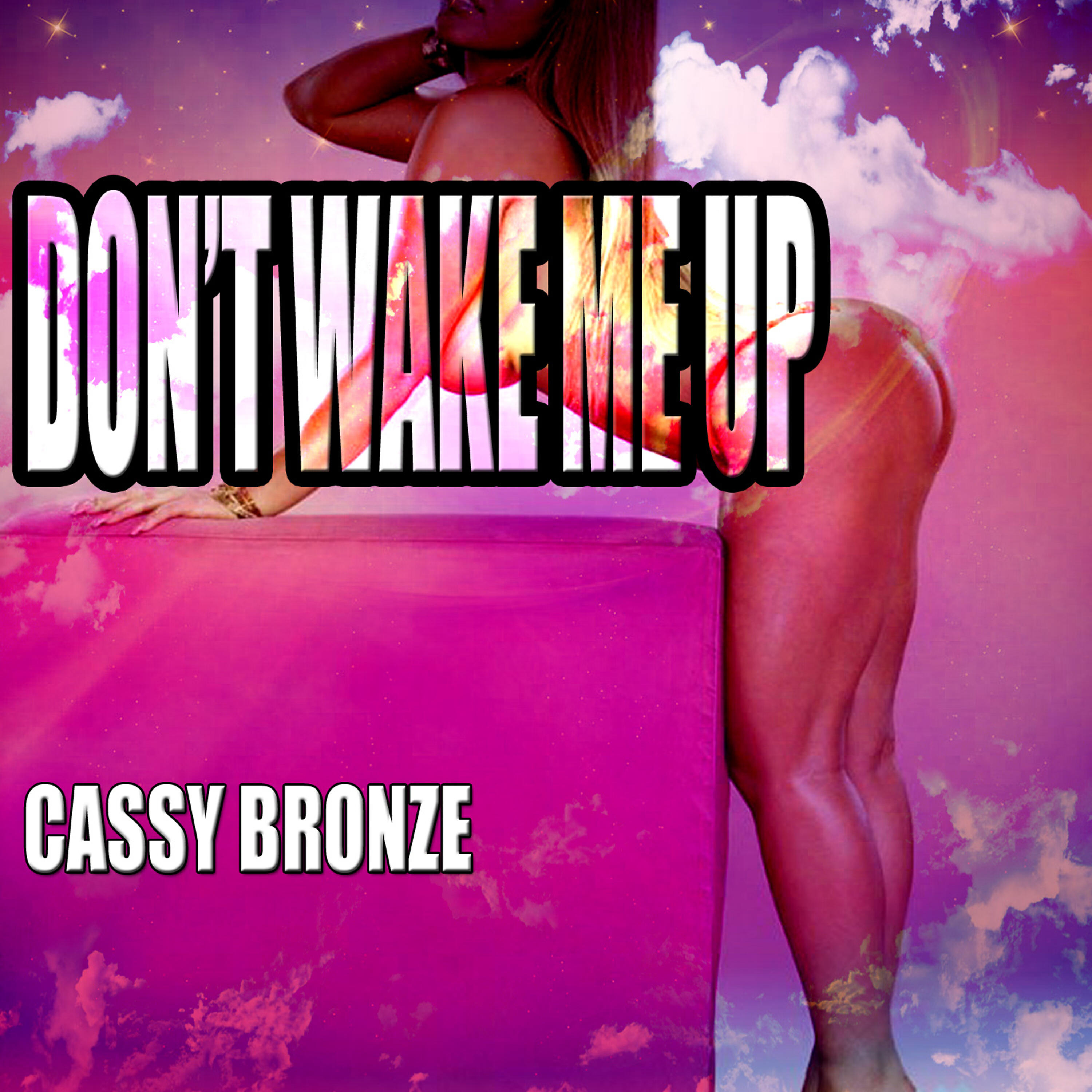 Релиз Don't Wake Me Up
