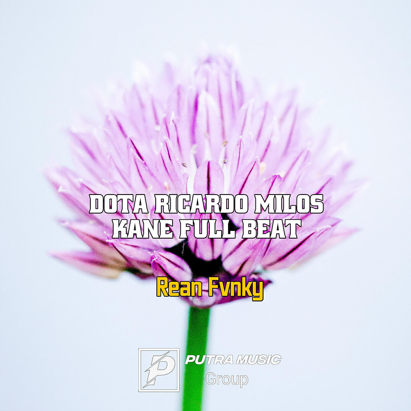 Релиз Dota Ricardo Milos Kane Full Beat