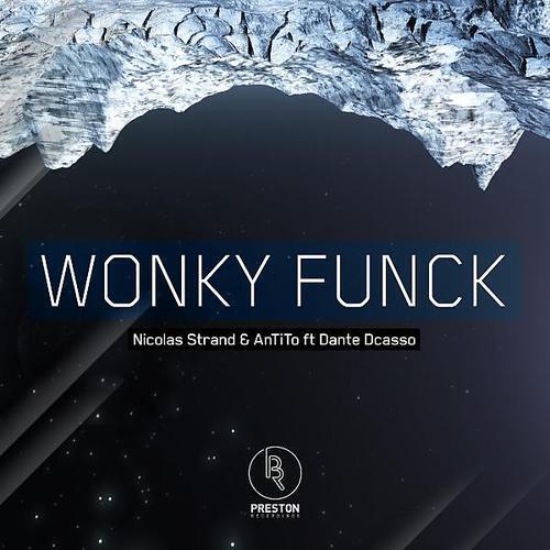 Релиз Wonky Funck (2013)