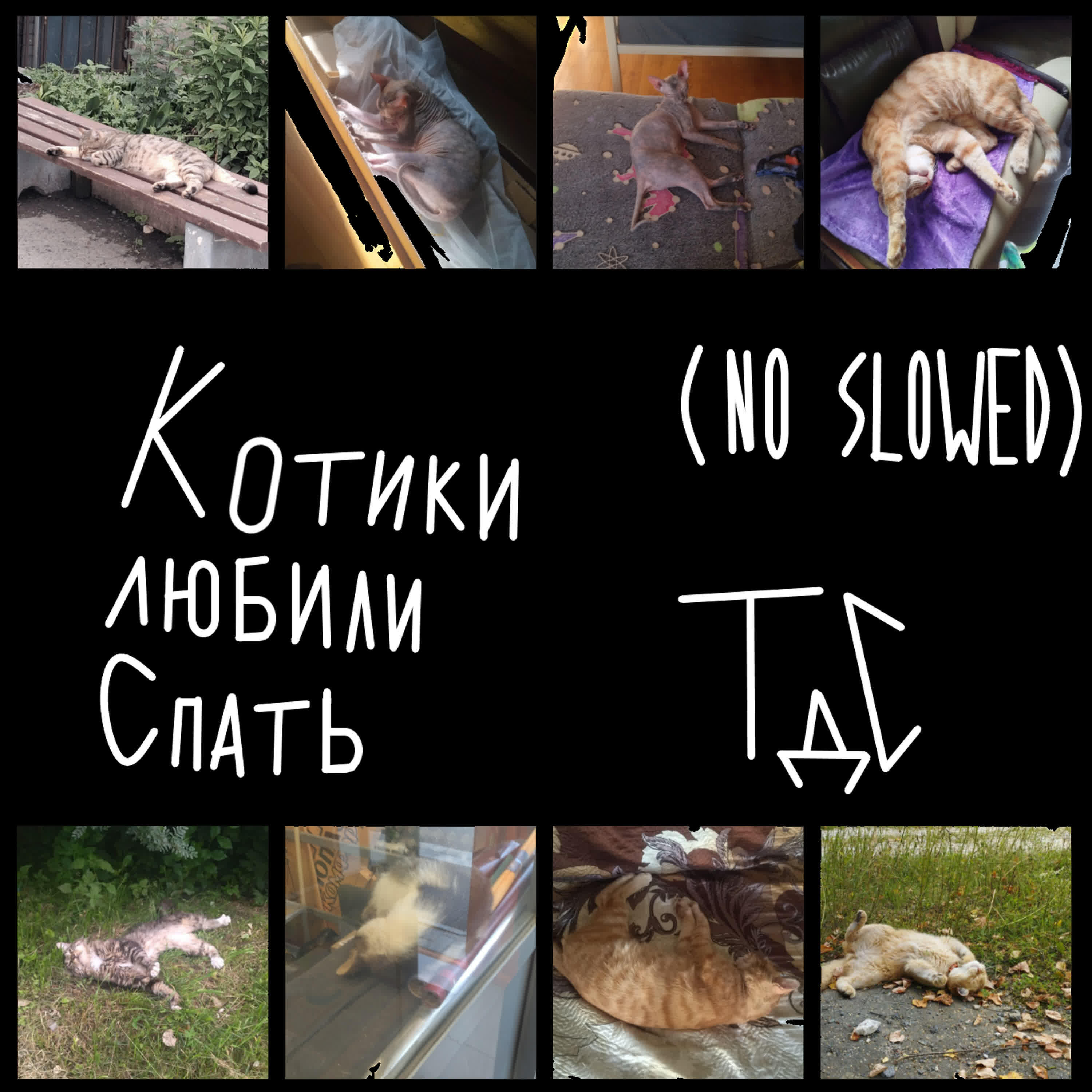 Релиз Котики любили спать (No Slowed)