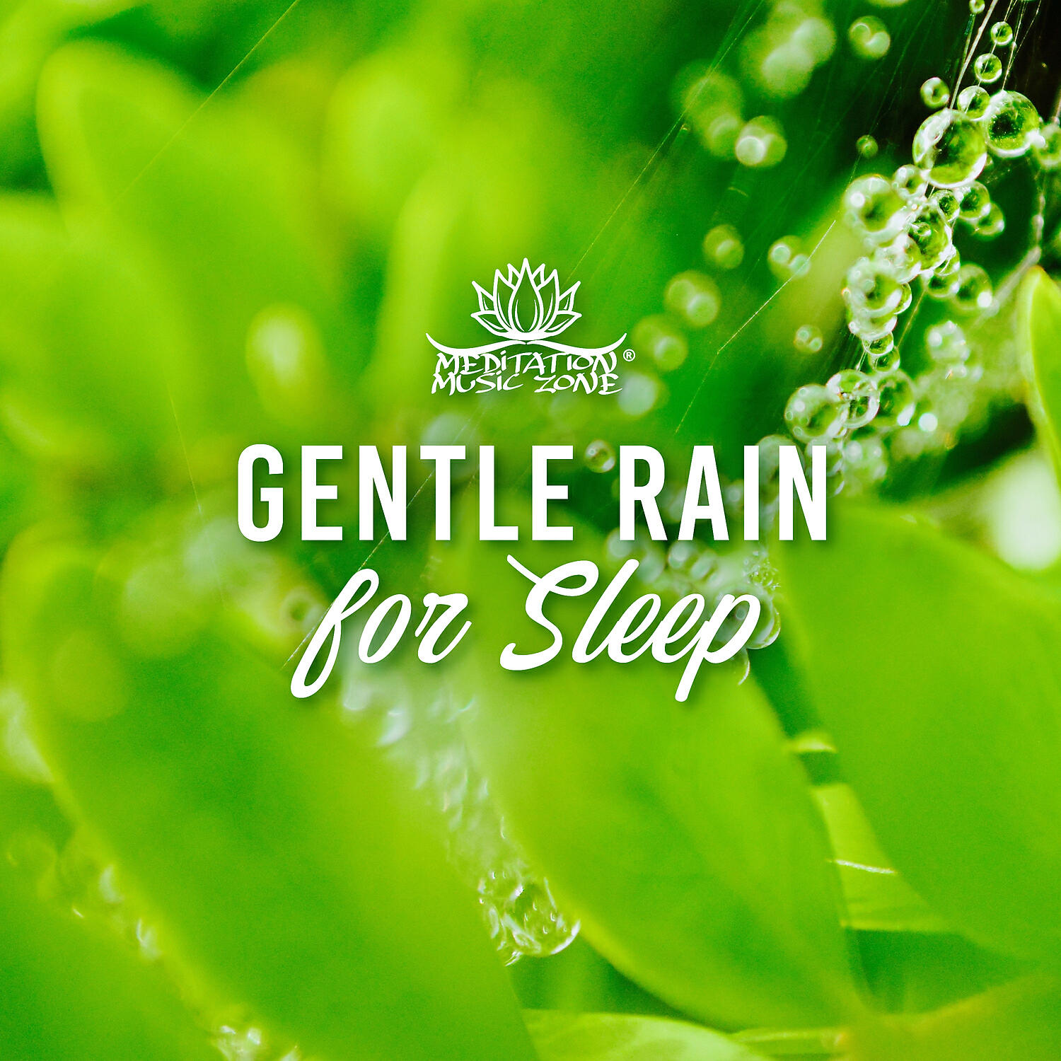Релиз Gentle Rain for Sleep: Your Time, Relaxation, Meditation, Insomnia Cure