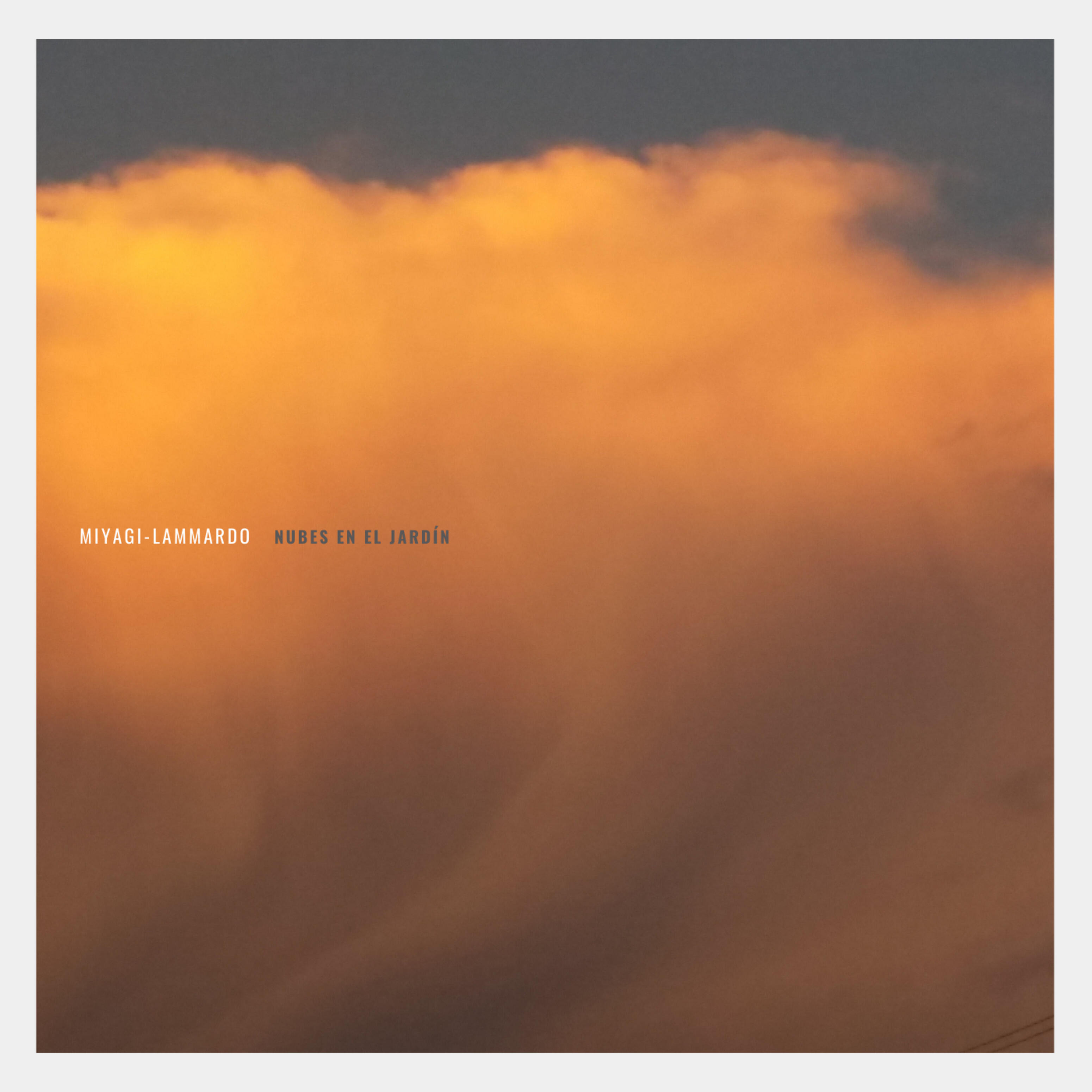 Постер альбома Nubes En El jardín