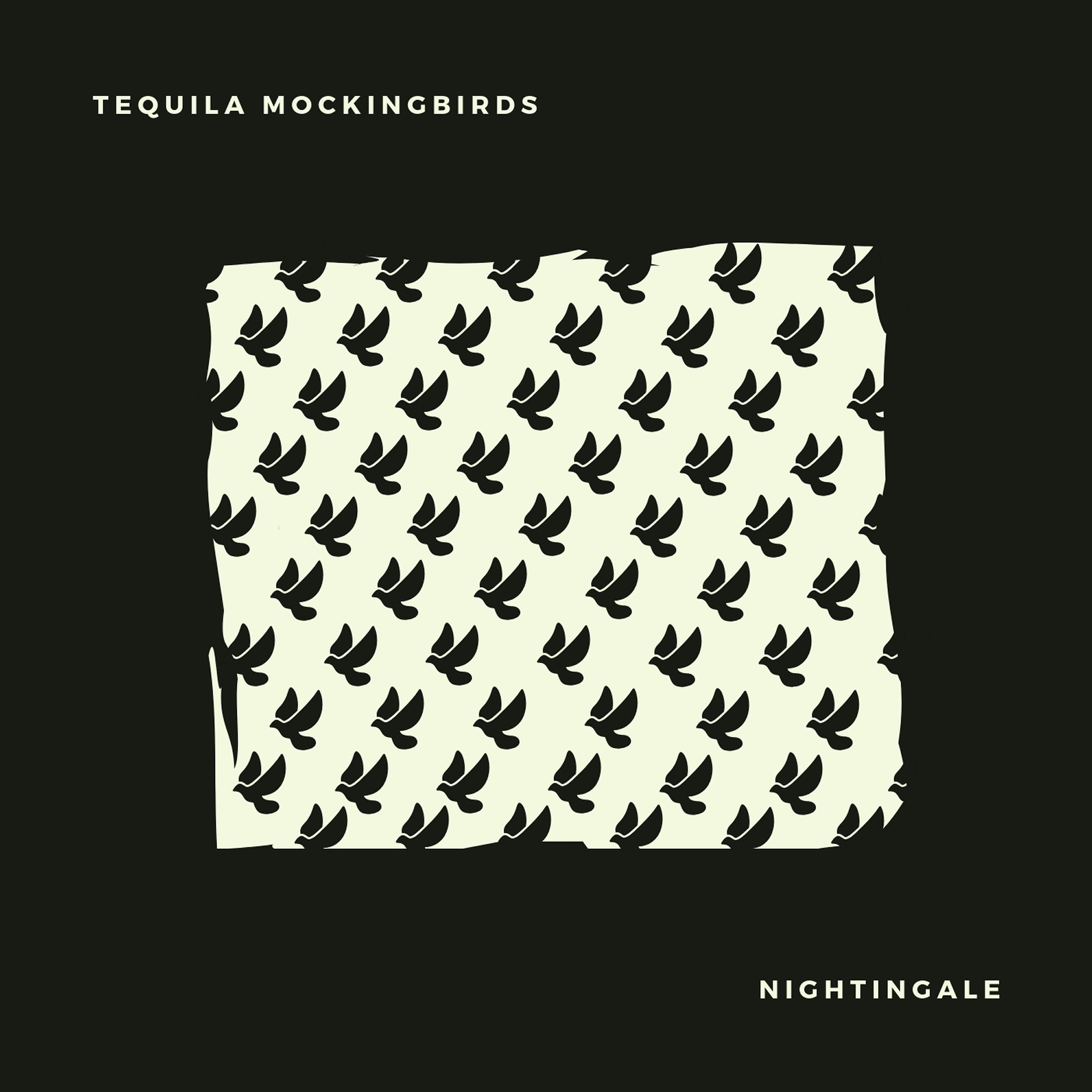 Постер альбома Nightingale