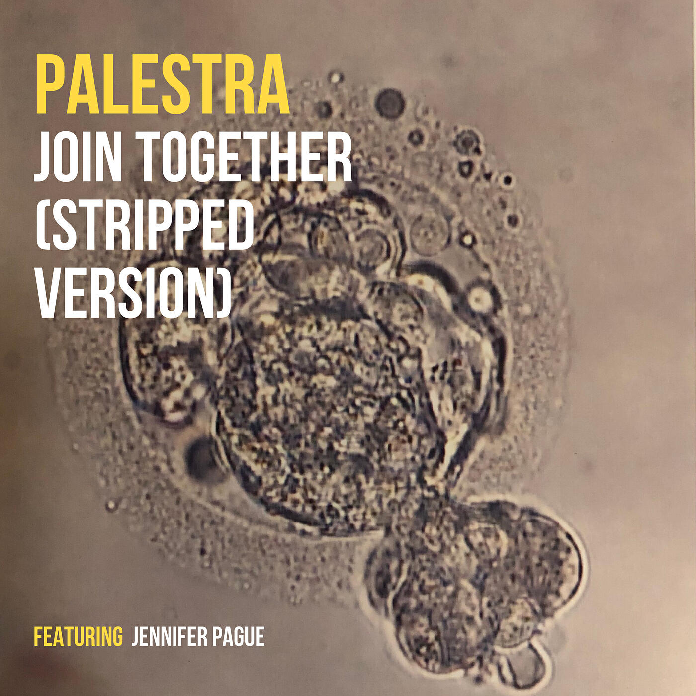 Релиз Join Together (Stripped Version)