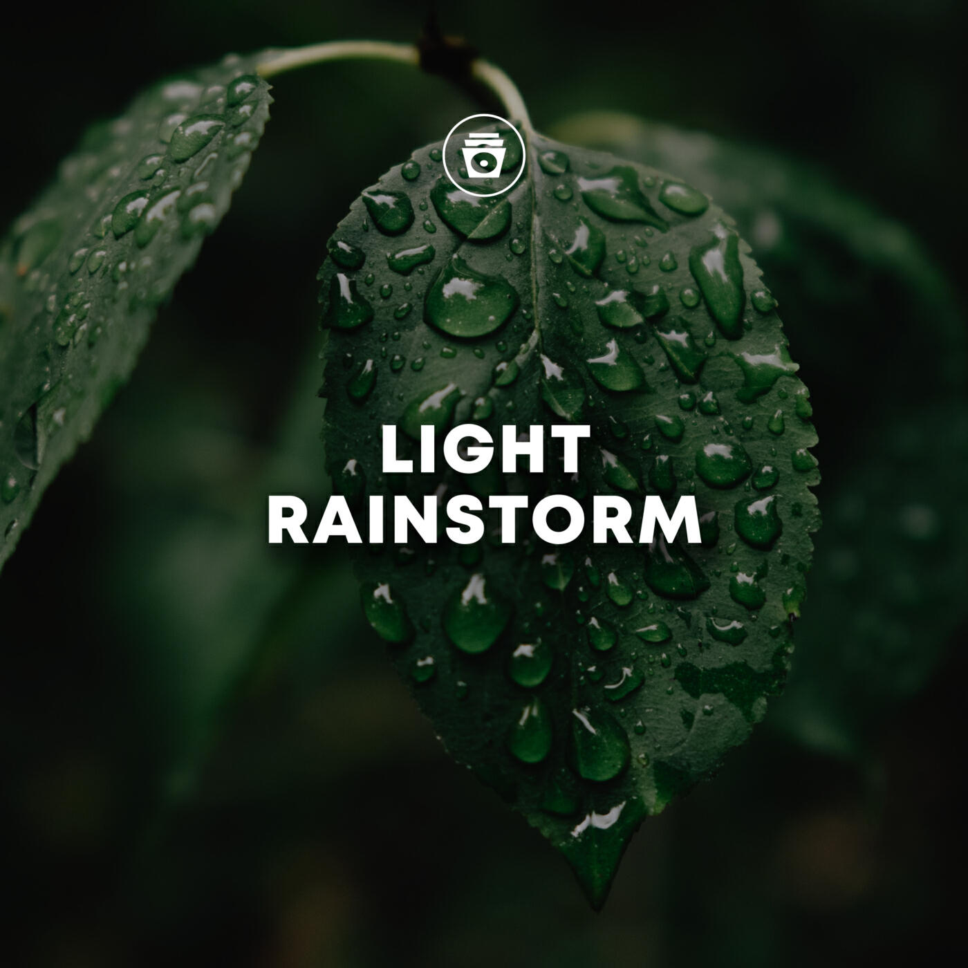 Релиз Light Rainstorm