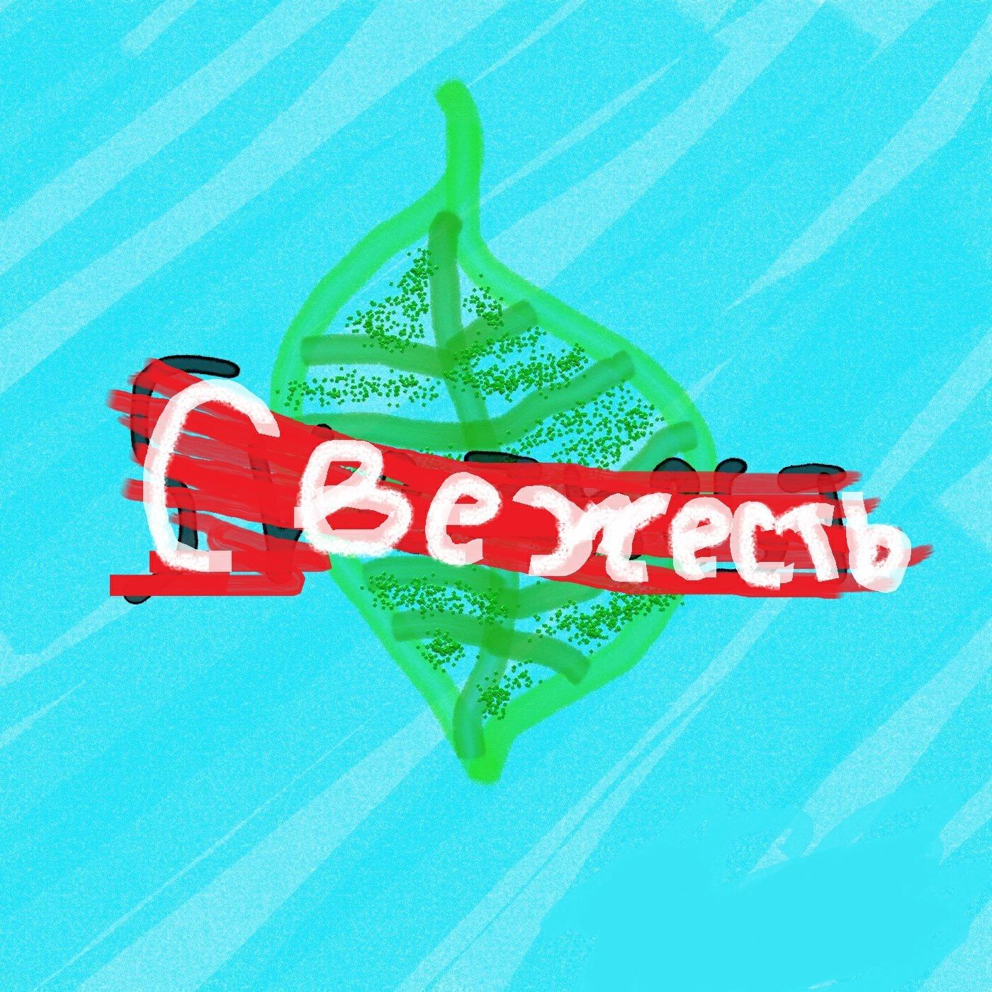 Релиз Свежесть
