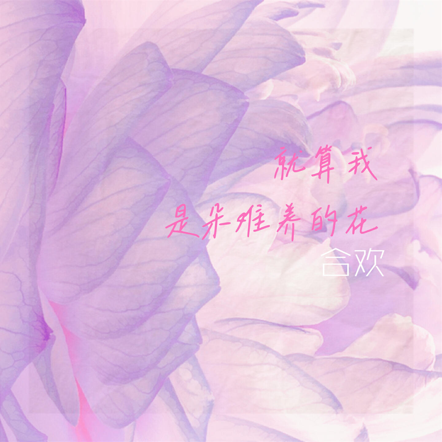 Релиз 就算我是朵难养的花