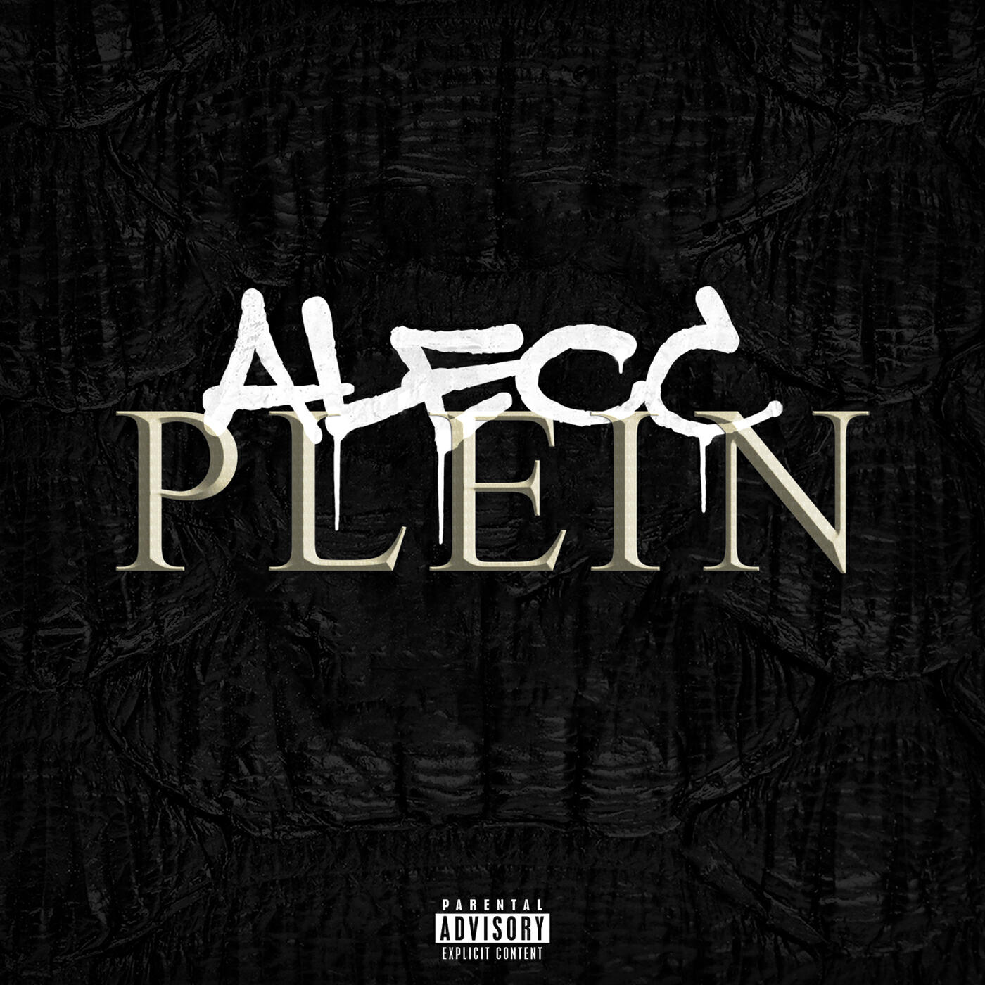 Релиз PLEIN
